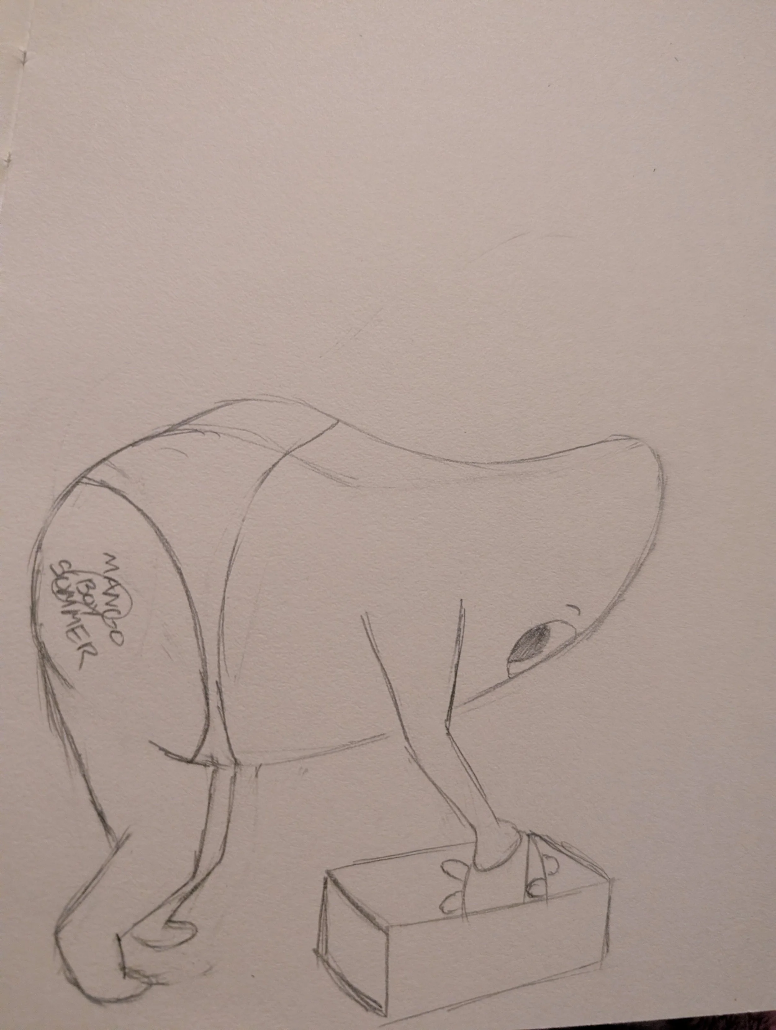 11/30/2025 Whatcha got in the box mango boy?????