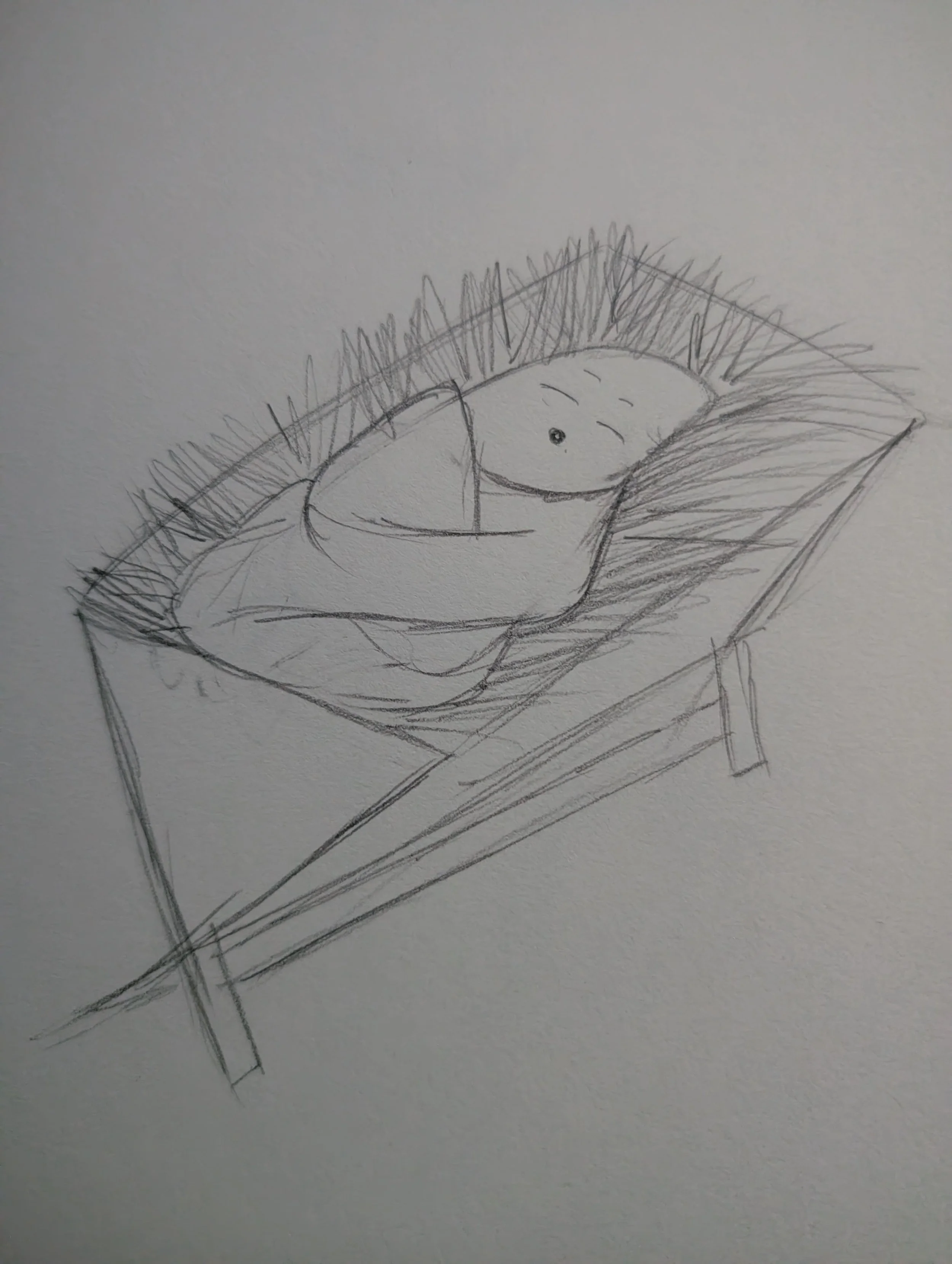 12/23/2025 Shhhhh mango boy baby Jesus is sleeping.