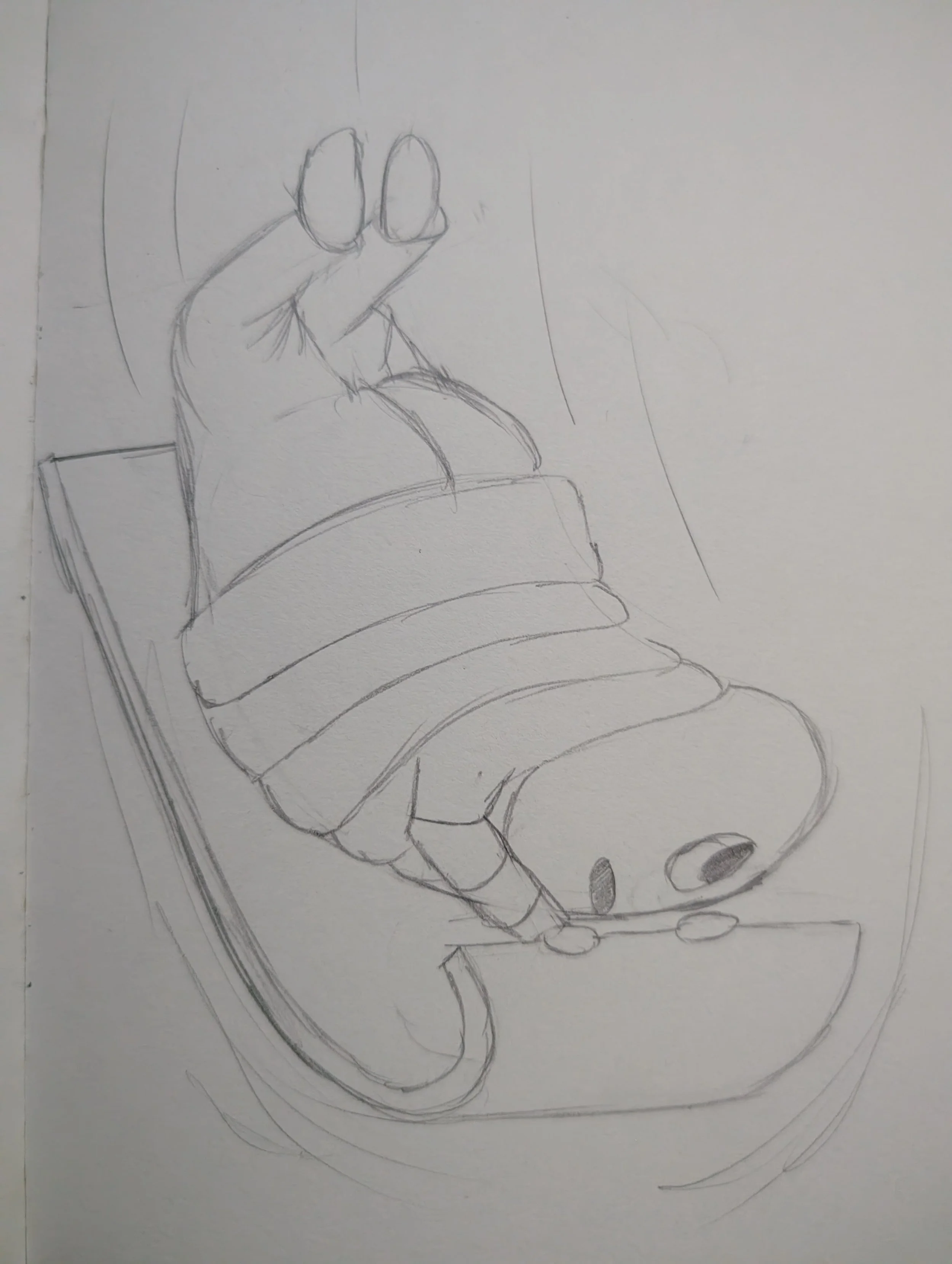 12/16/2025 Oh no mango boy has lost control of his sled!