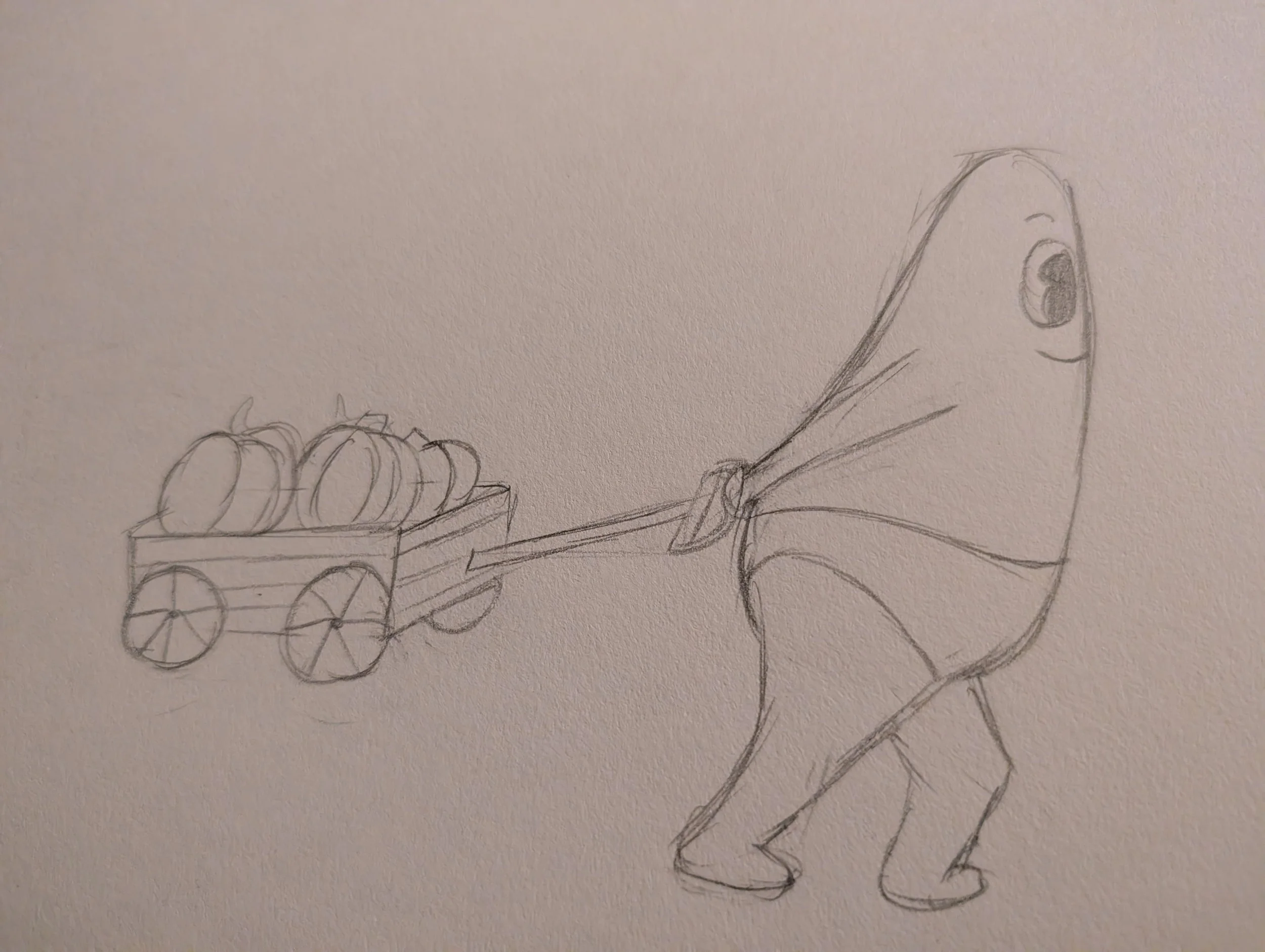 11/04/2025 Mango boy is on his way back from the pumpkin patch, do you think he will make pie with those?