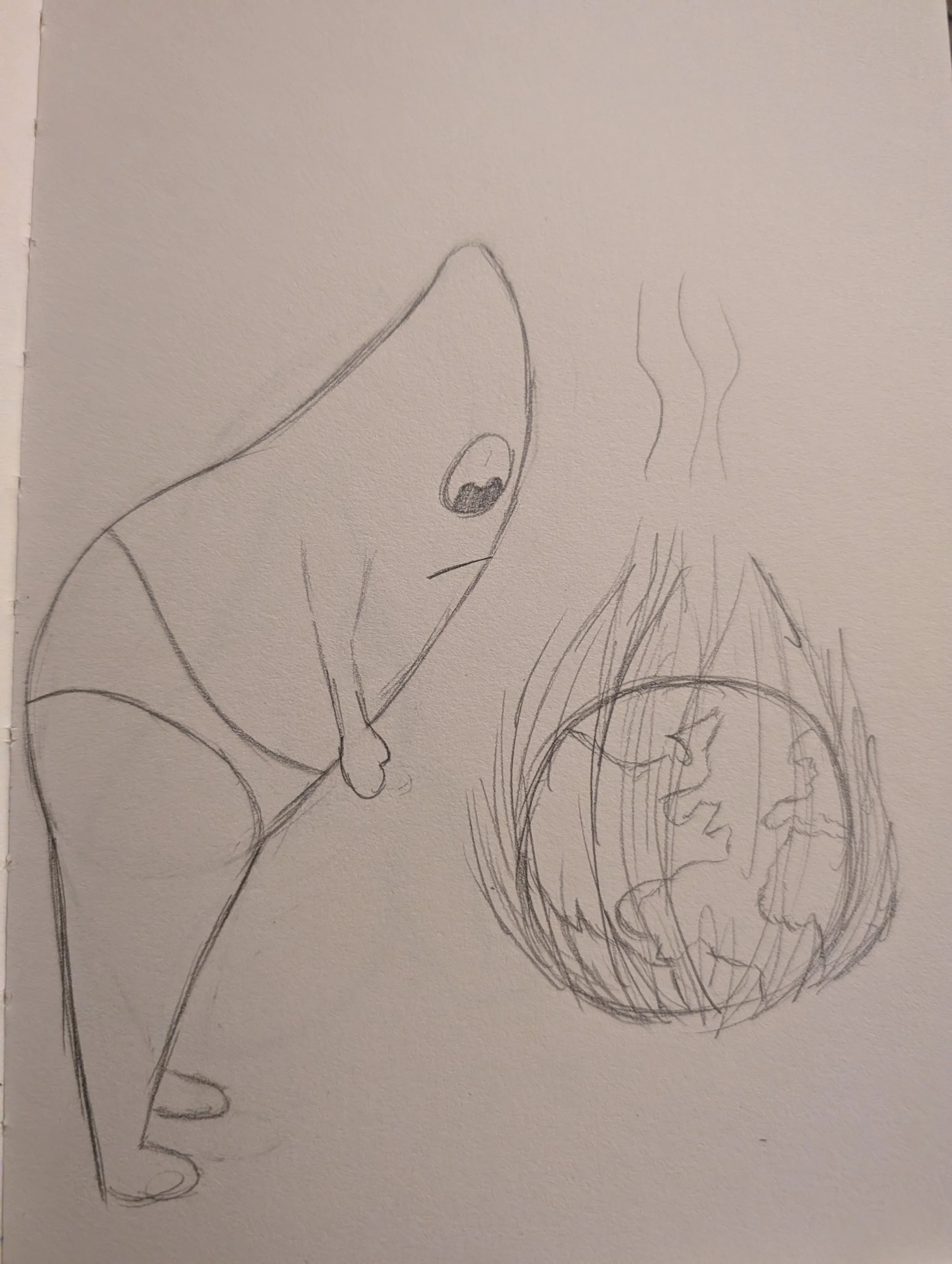 01/28/2026 Mango boy said he didn't start the fire but he would like to stop it.