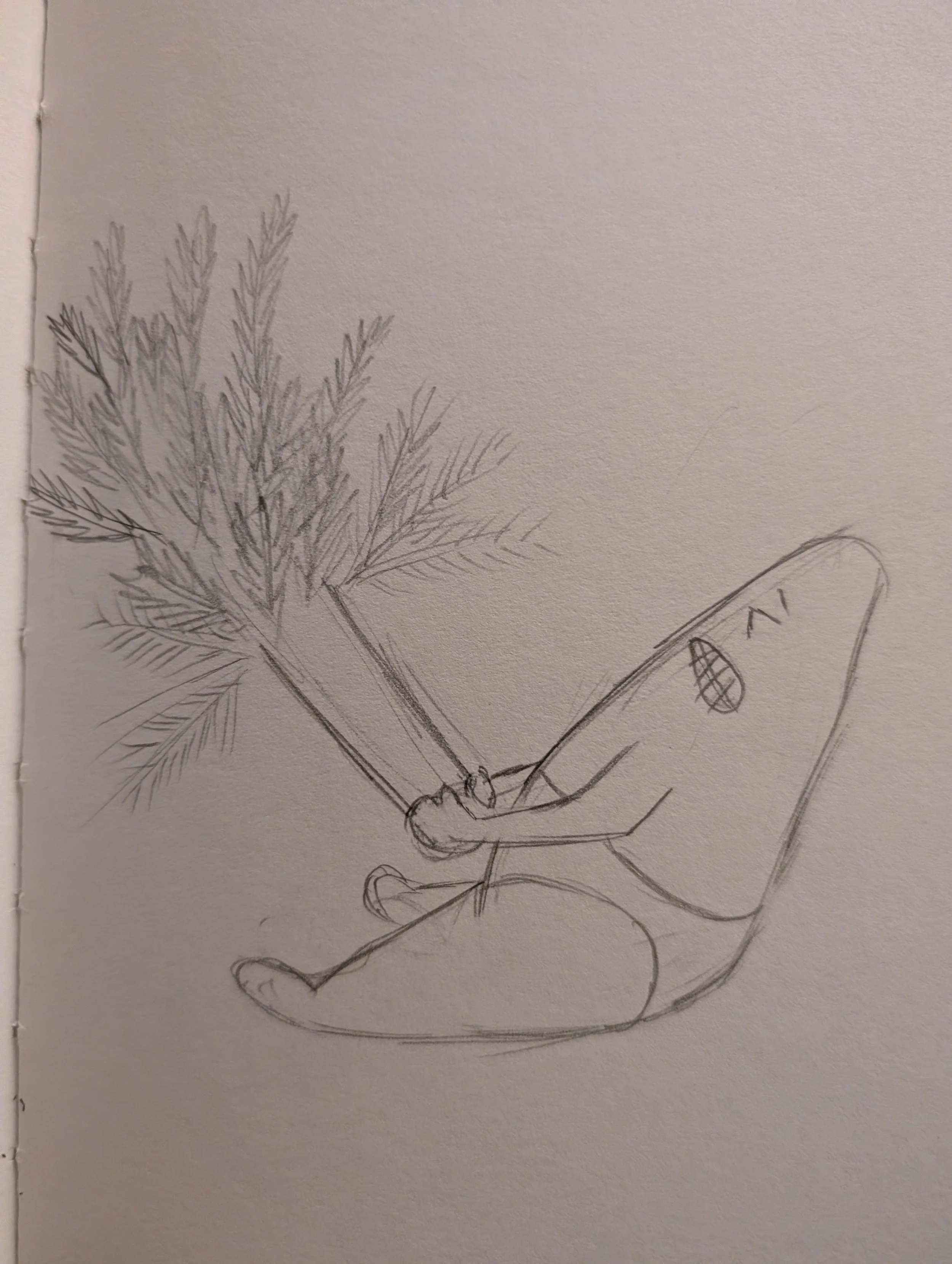 01/18/2026 Time to take out the tree.