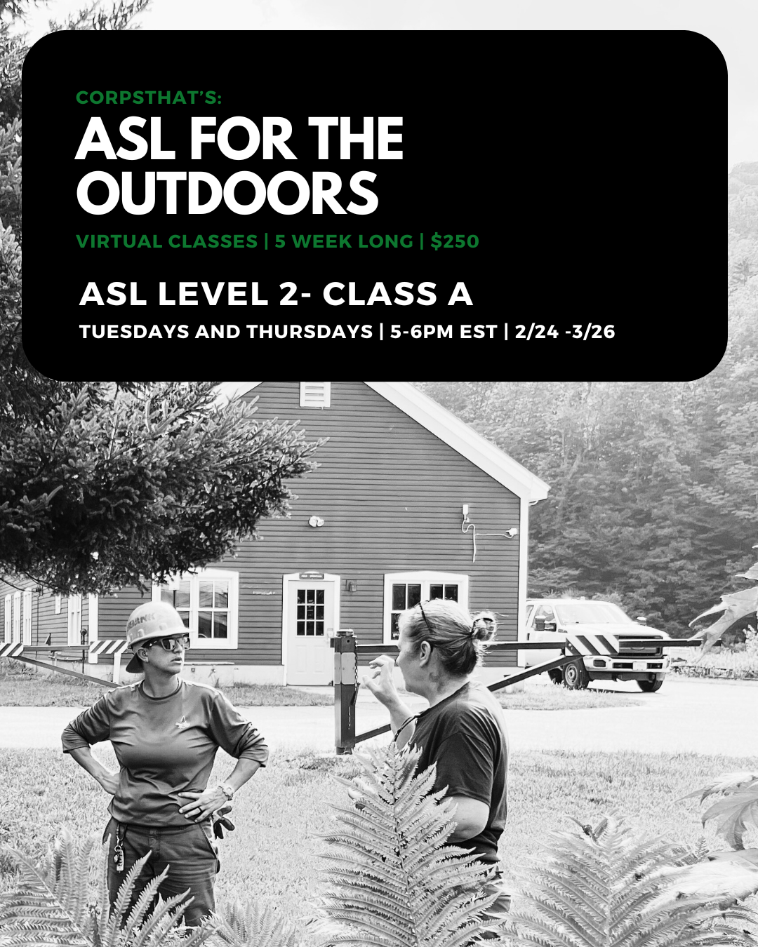ASL Level 2- Class A (T/T 5pm EST)