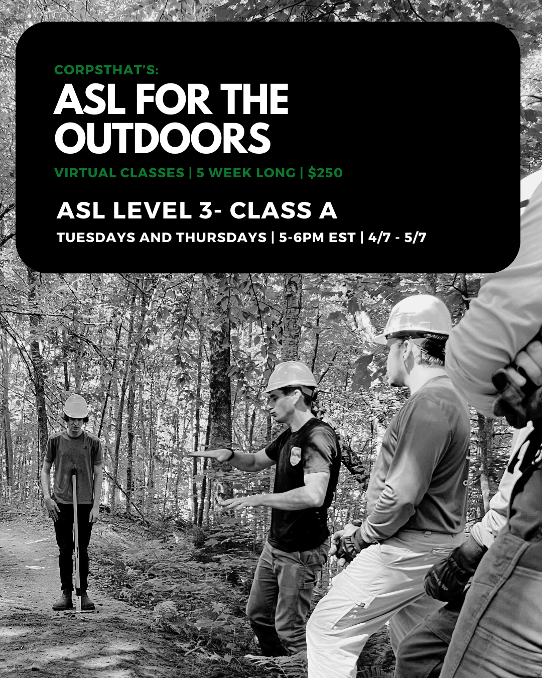 ASL Level 3- Class A (T/T 5pm EST)