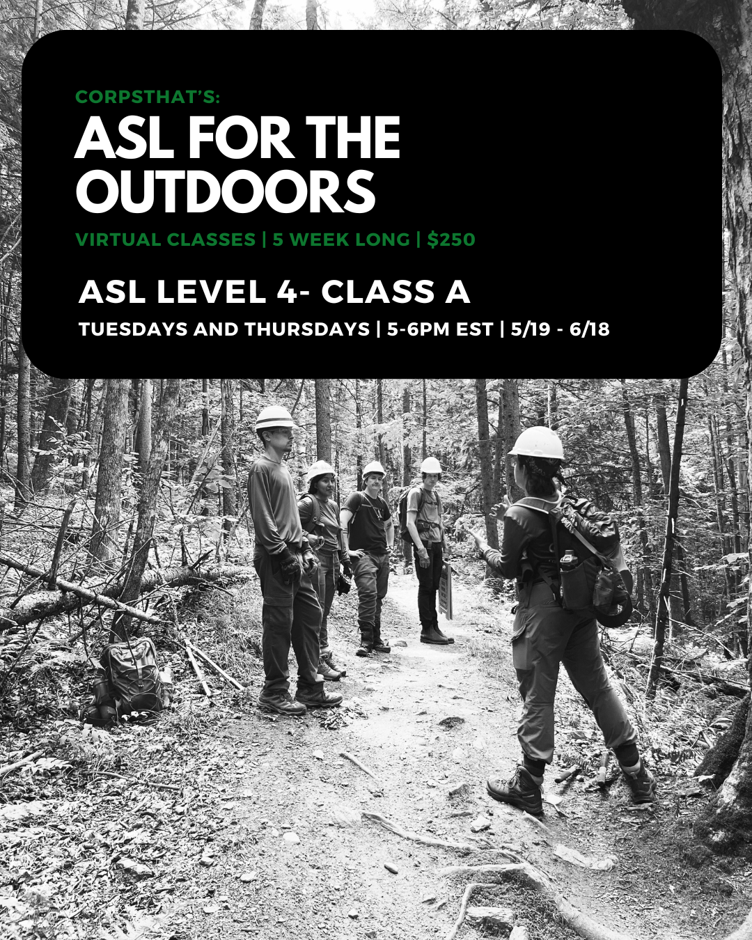 ASL Level 4- Class A (T/T 5pm EST)