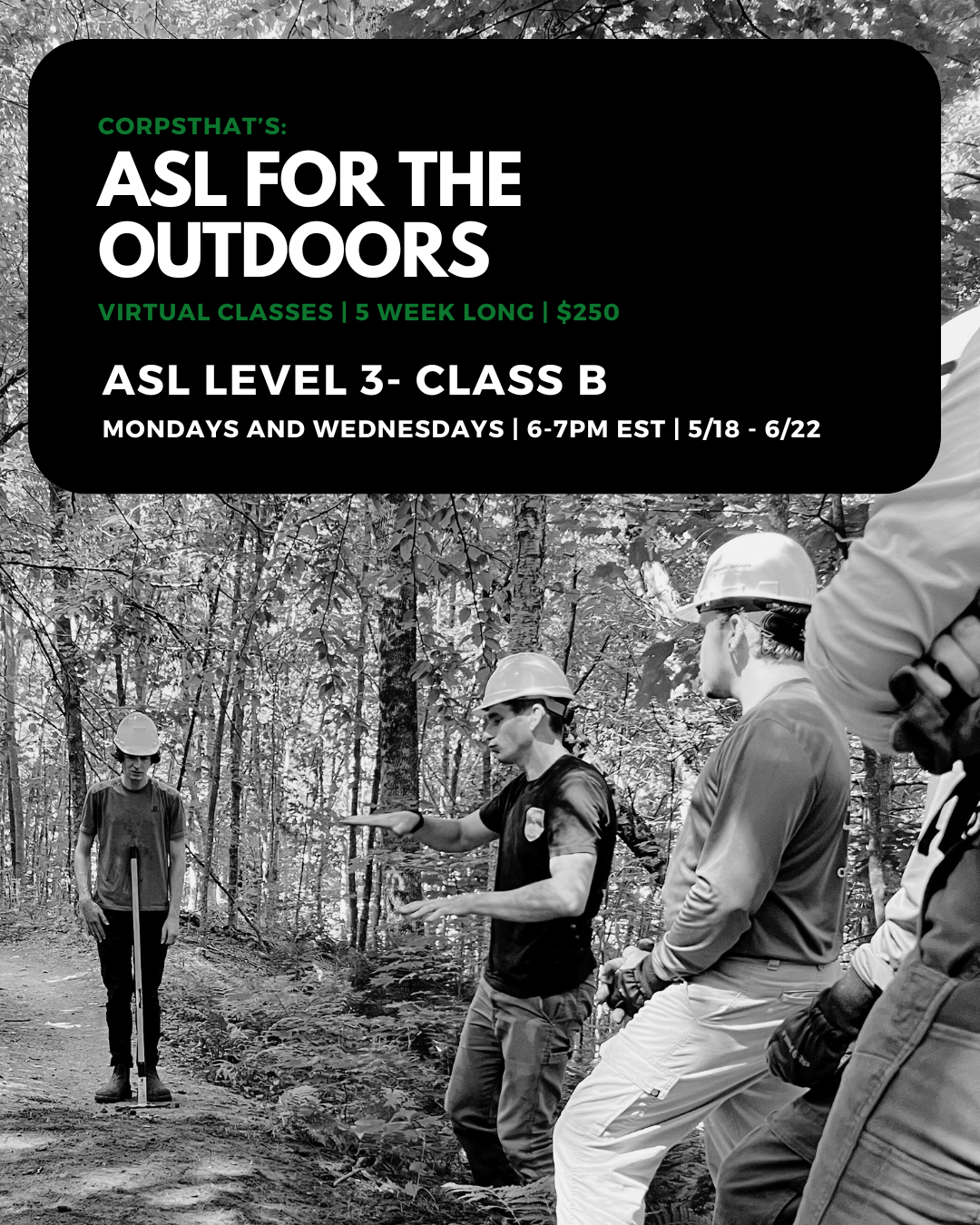ASL Level 3- Class B (M/W 6pm EST)
