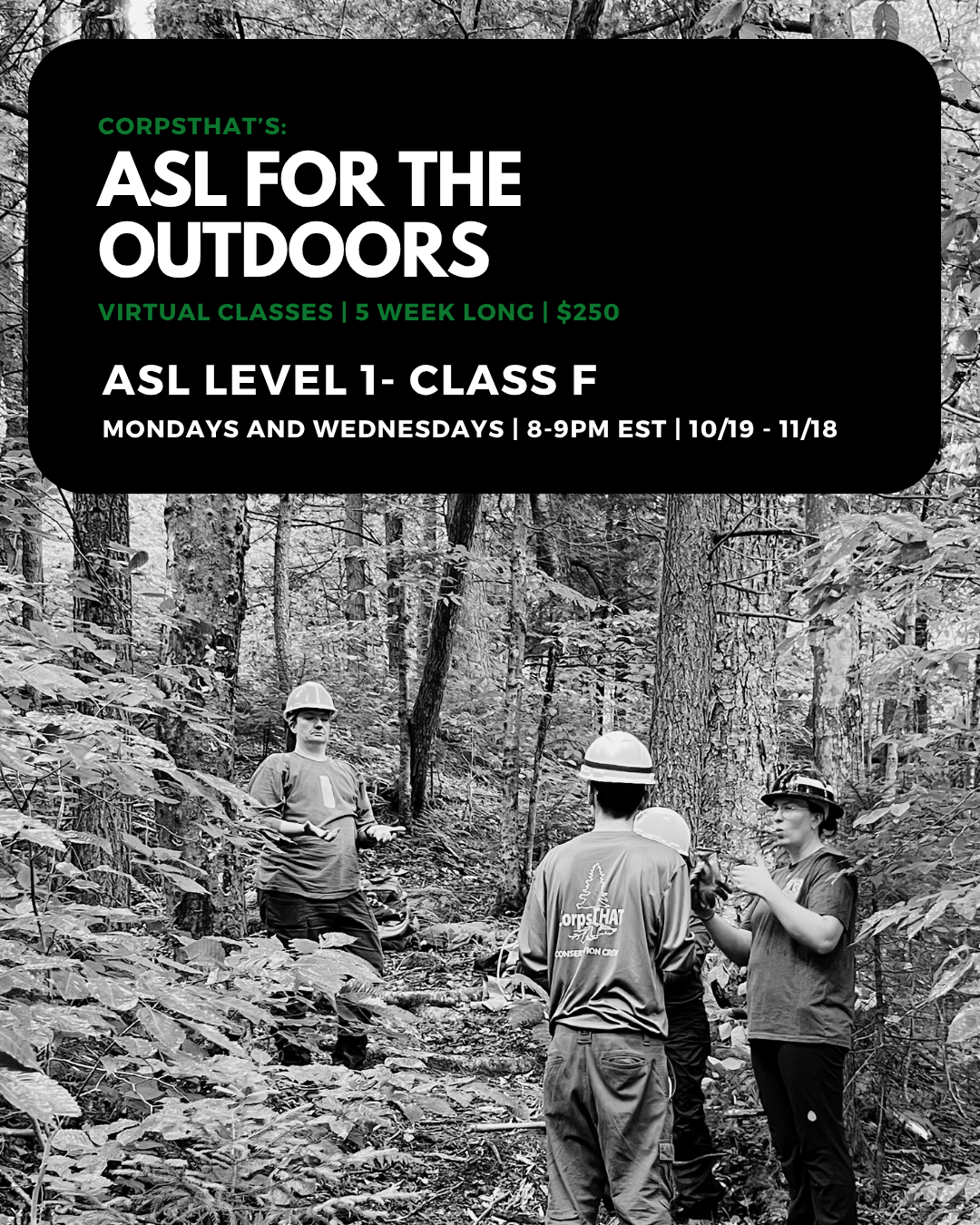 ASL Level 1- Class F (M/W 8pm EST) 
