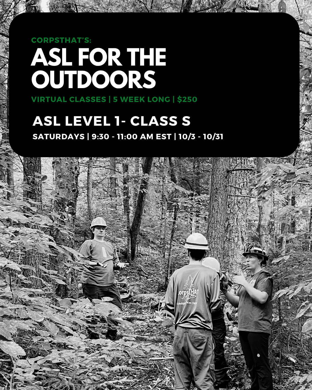 ASL Level 1- Class S (SATURDAYS 9:30-11:00am EST)
