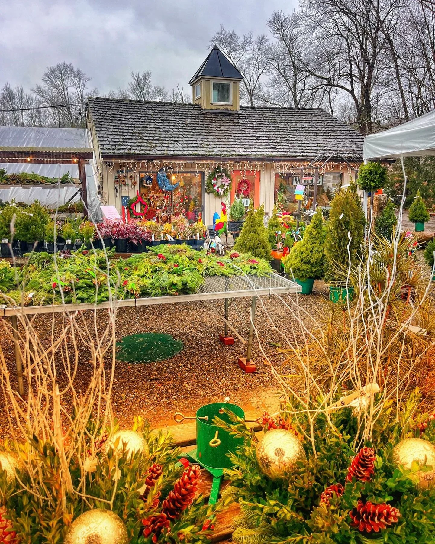 It&rsquo;s that magical time of year ✨ 

pc: @00jeanmarie00