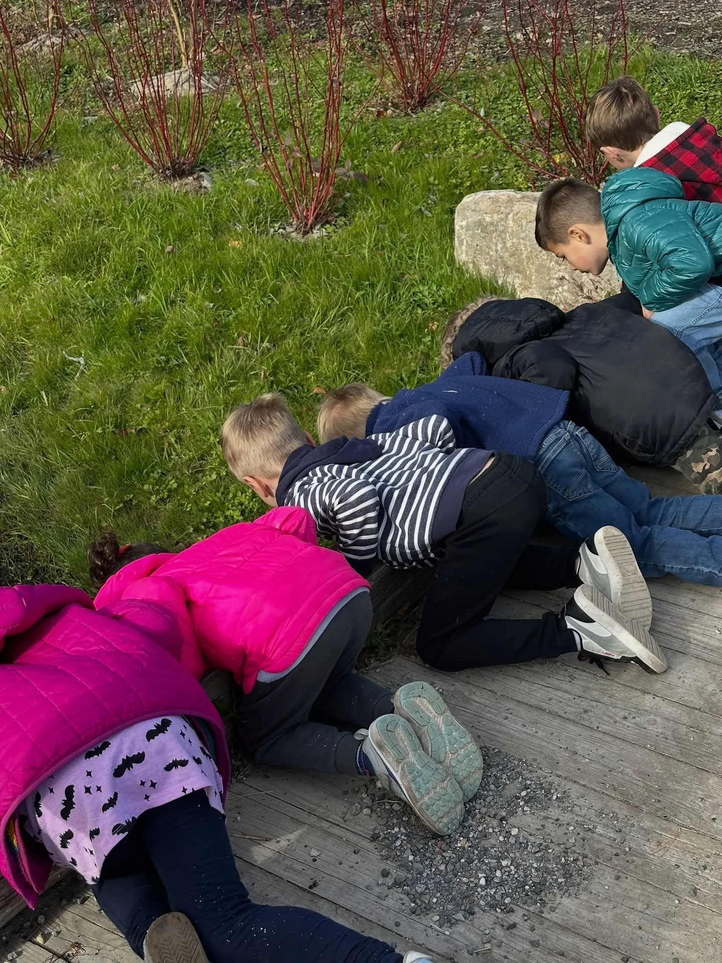 It&rsquo;s that time of year! The Increase Miller Kindergarten class came by for their annual field trip to Gossett Brothers

They hunted for earthworms, learned about and dug up tree roots, explored planting and landscaping tools, big machinery, enj