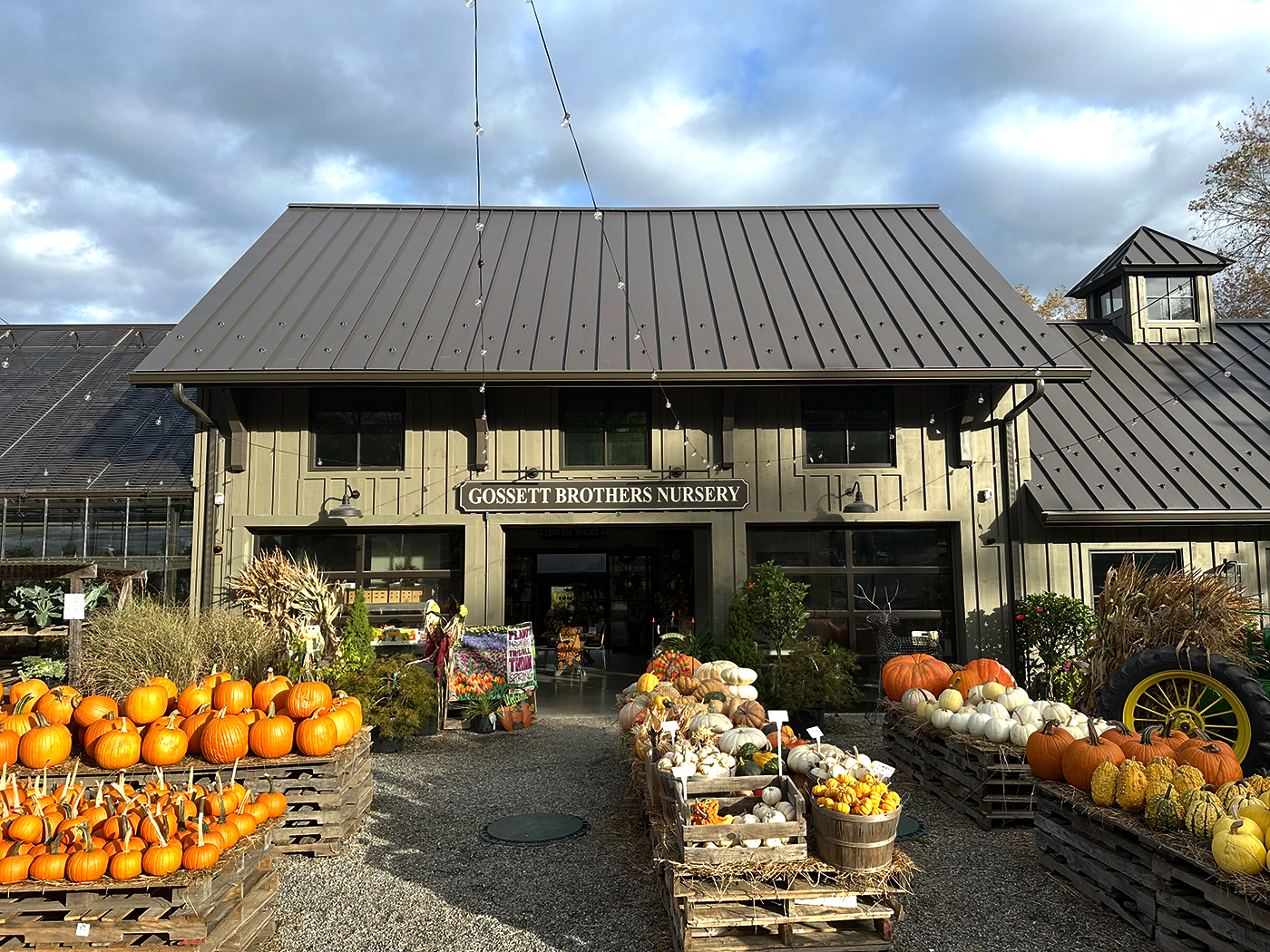Pumpkins and gourds displayed outside Gossett Brothers Nursery during fall season with a rustic building and cloudy sky in the background.