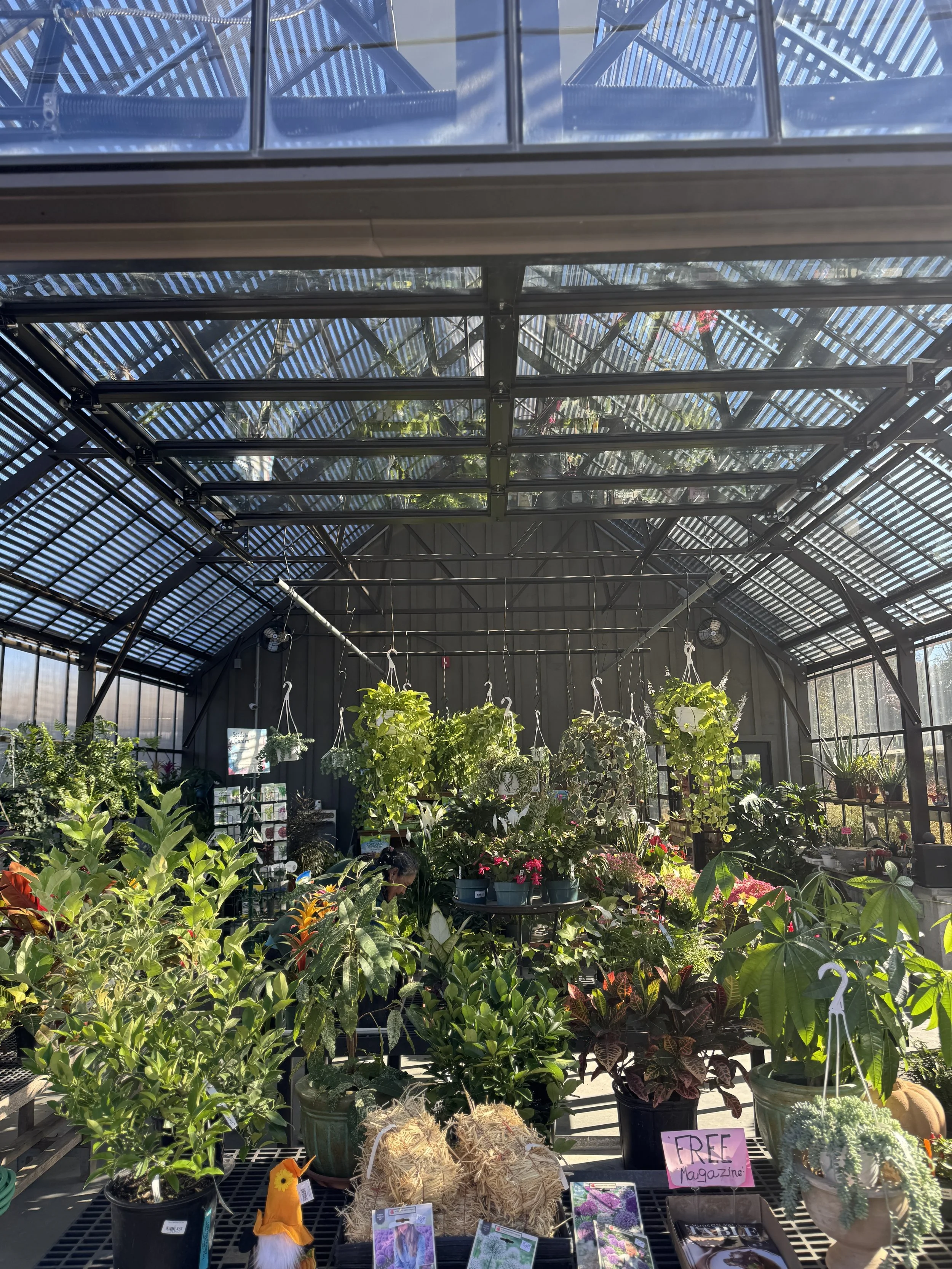 Indoor plant nursery with various potted plants and hanging plants, sunlight streaming through glass ceiling and walls, free magazine sign visible.