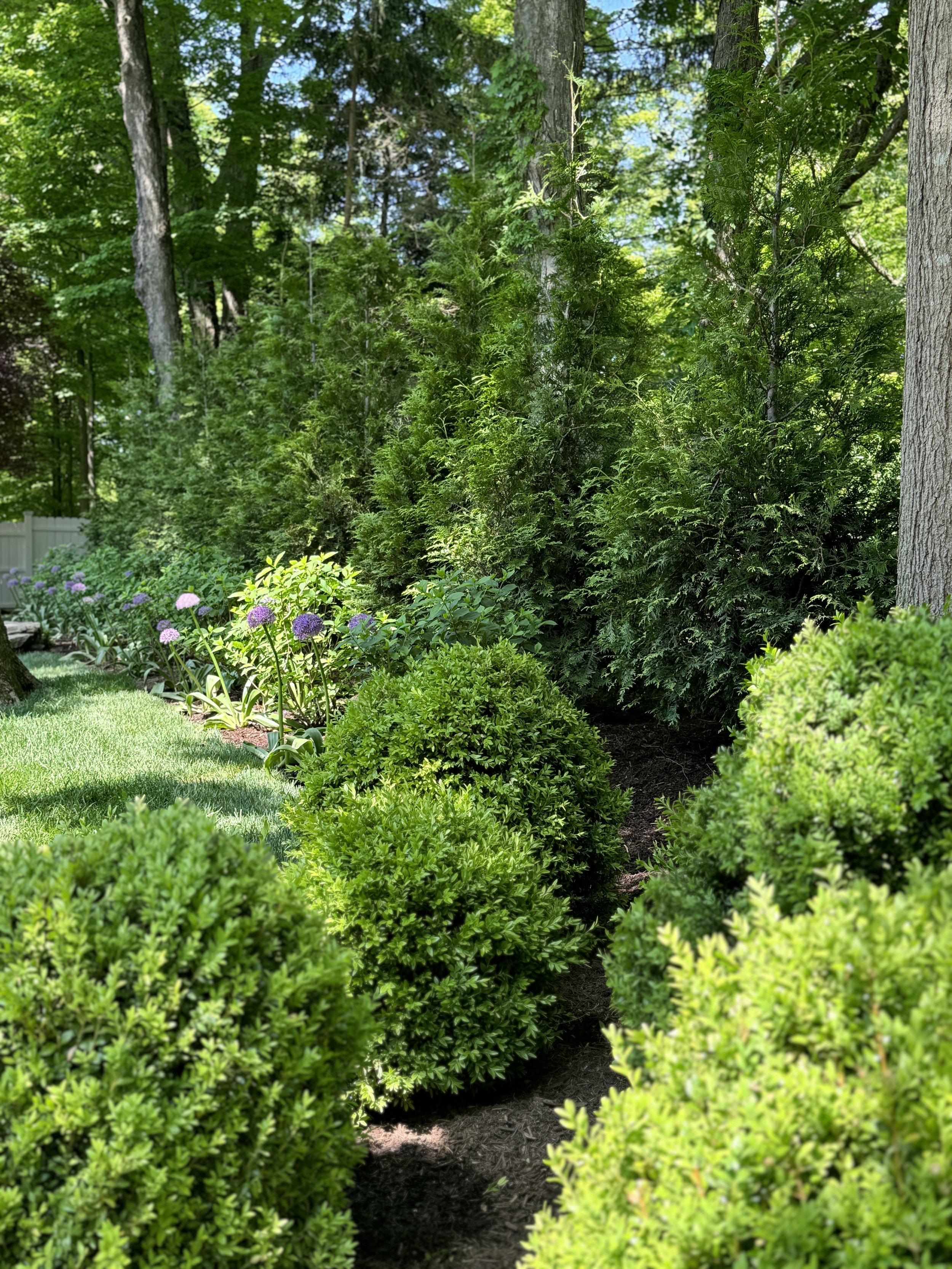A well-maintained garden with lush green bushes, flowering plants, and tall trees in the background.