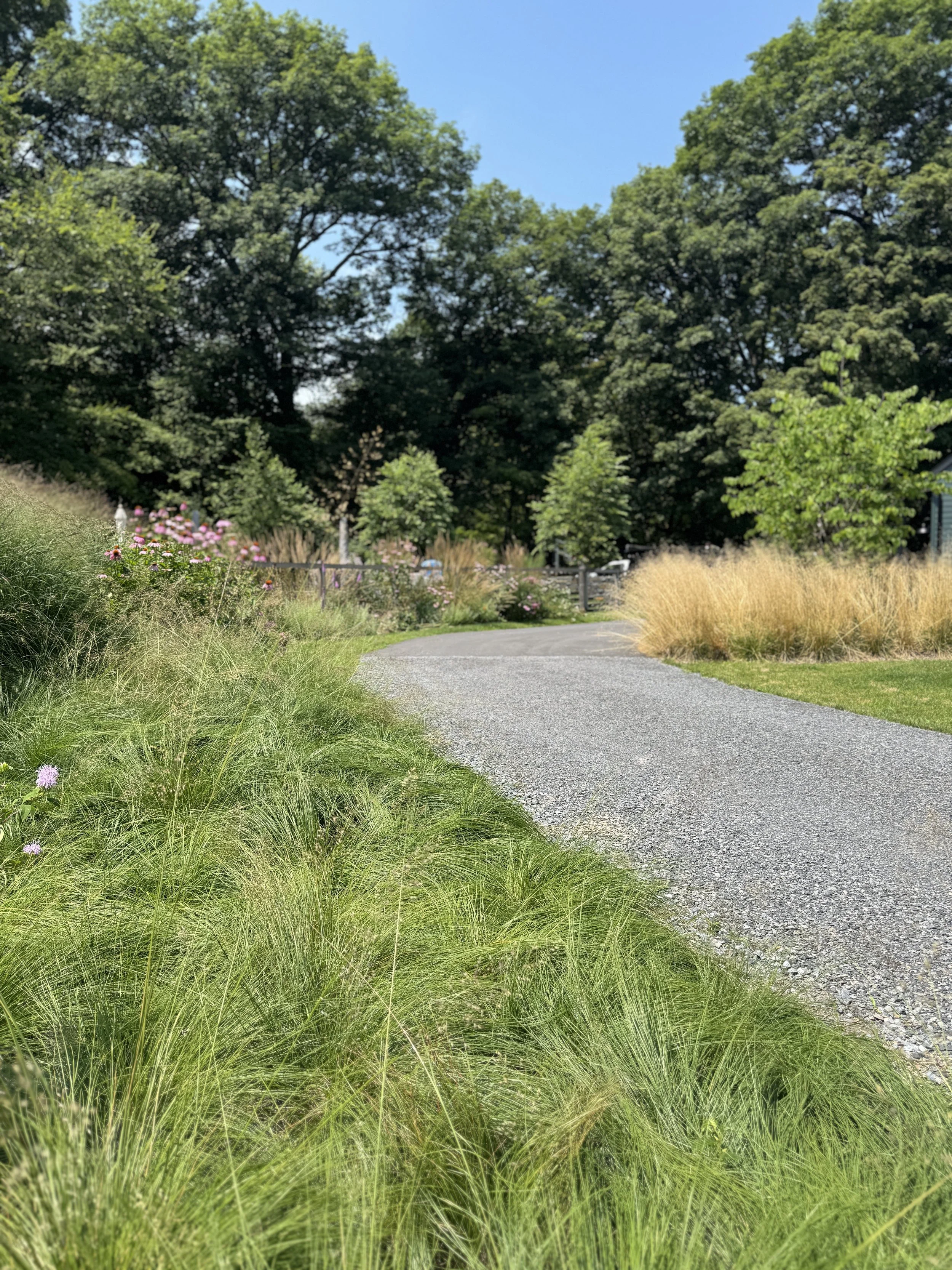 A gravel pathway winding through a lush garden with green grass, pink flowers, and tall grasses, surrounded by trees under a clear blue sky.