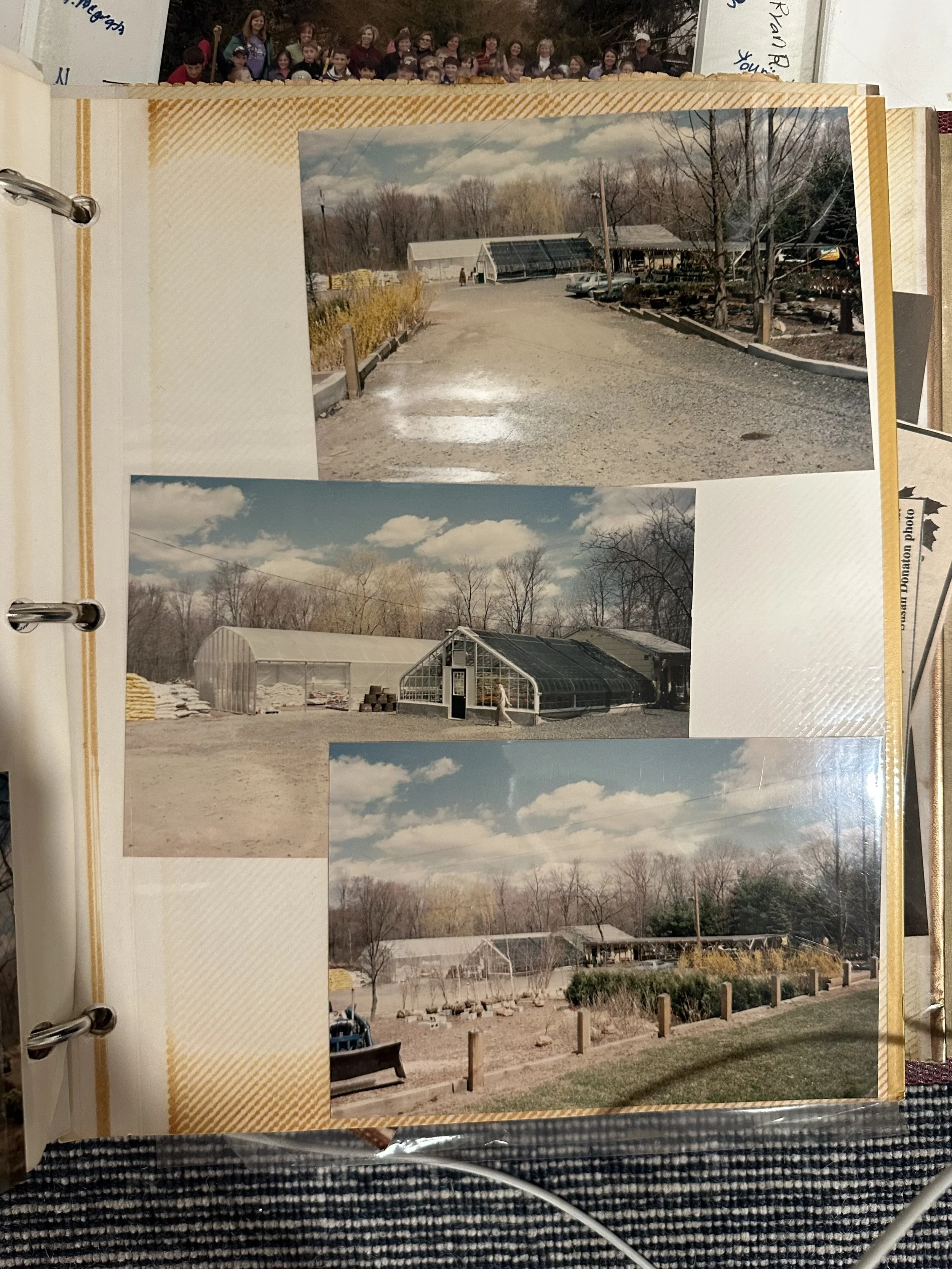 Series of three photographs of a greenhouse and surrounding area, taken on a partly cloudy day, showing different angles of the greenhouse, trees, and landscape with wooden posts and a chair visible in the foreground.
