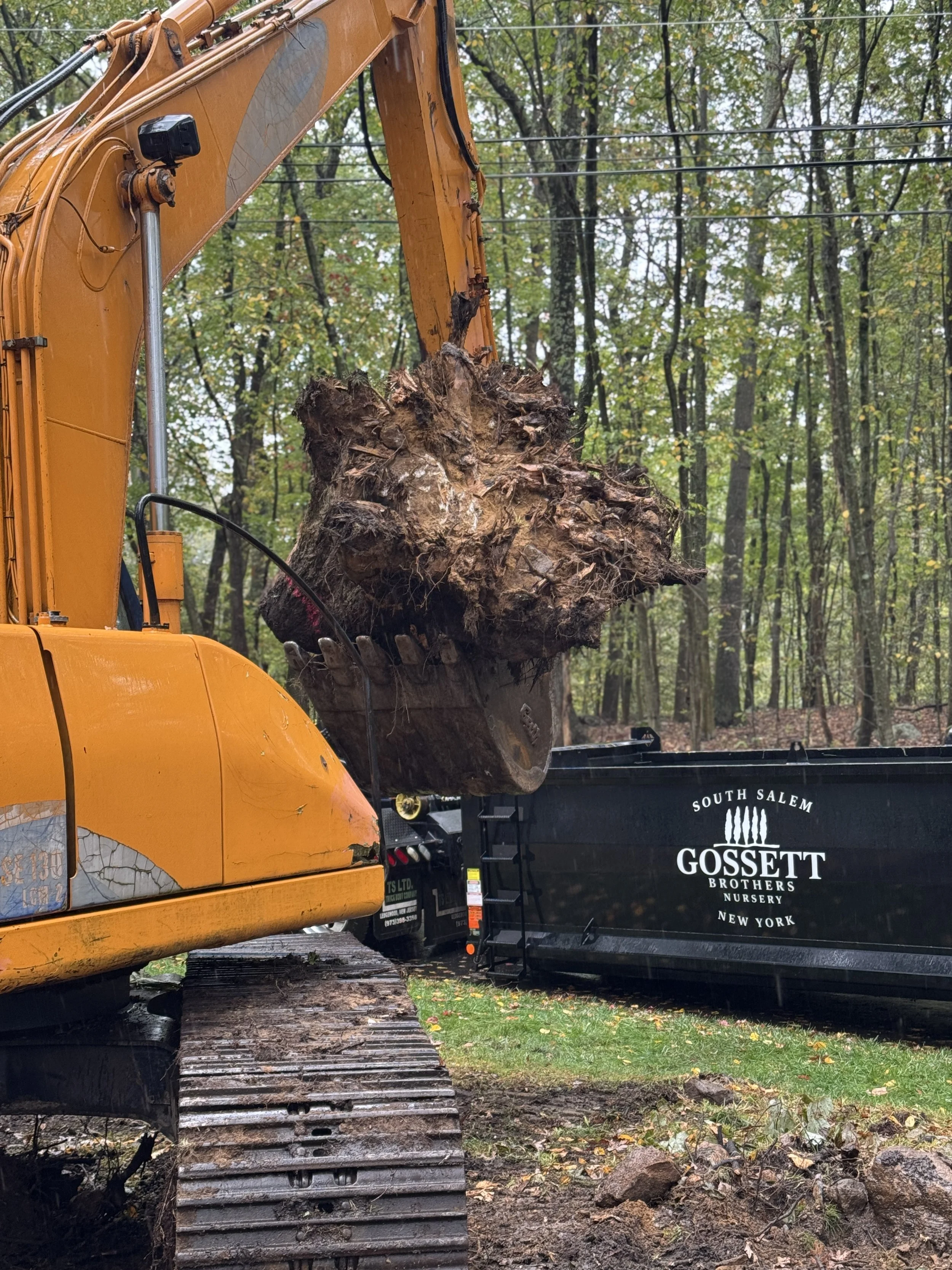 An excavator is lifting a large uprooted tree in a wooded area, with a black truck in the background labeled 'South Salem Gossett Brothers Nursery New York'.