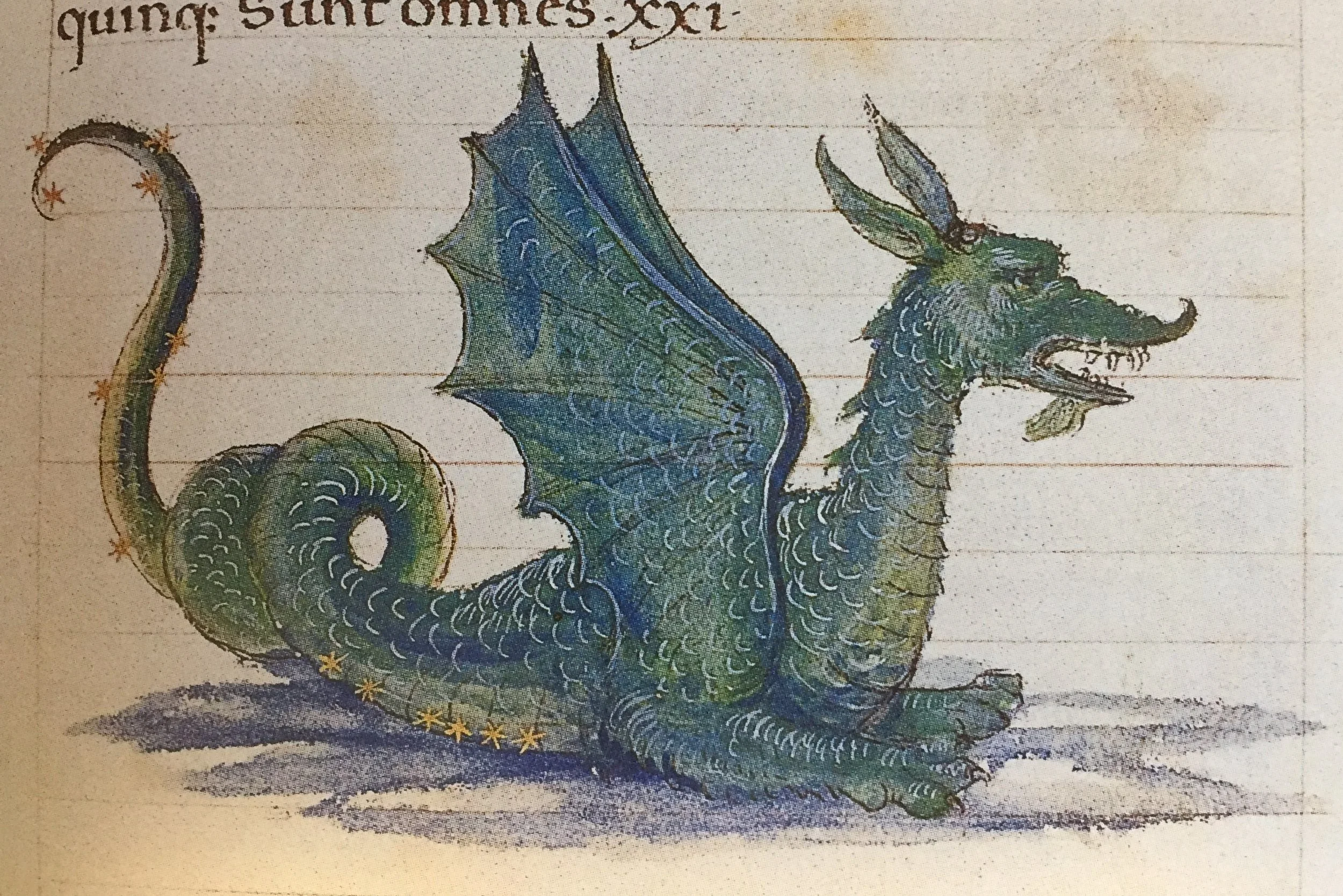 “A Natural History of the Dragon”: A Multi-Sensory Reading