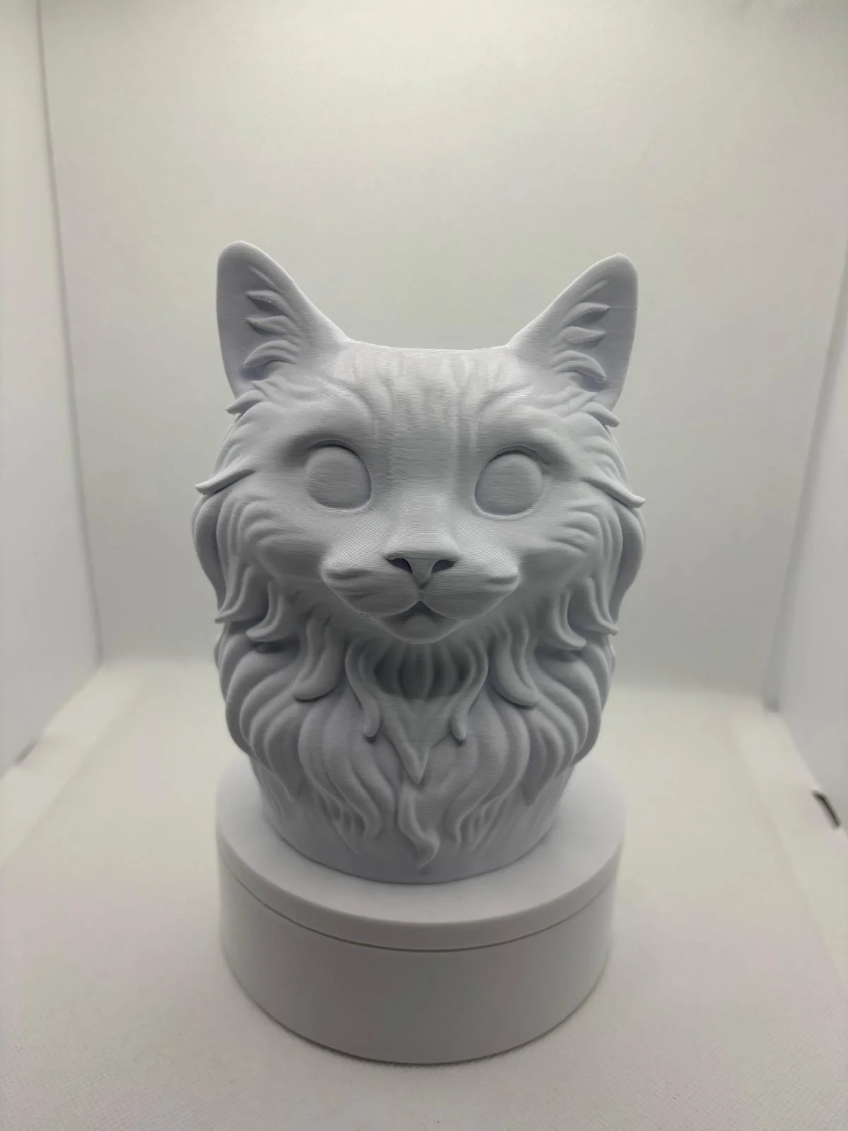 WhatsApp Image 2026-02-10 at 10.43.56UBHY.jpeg