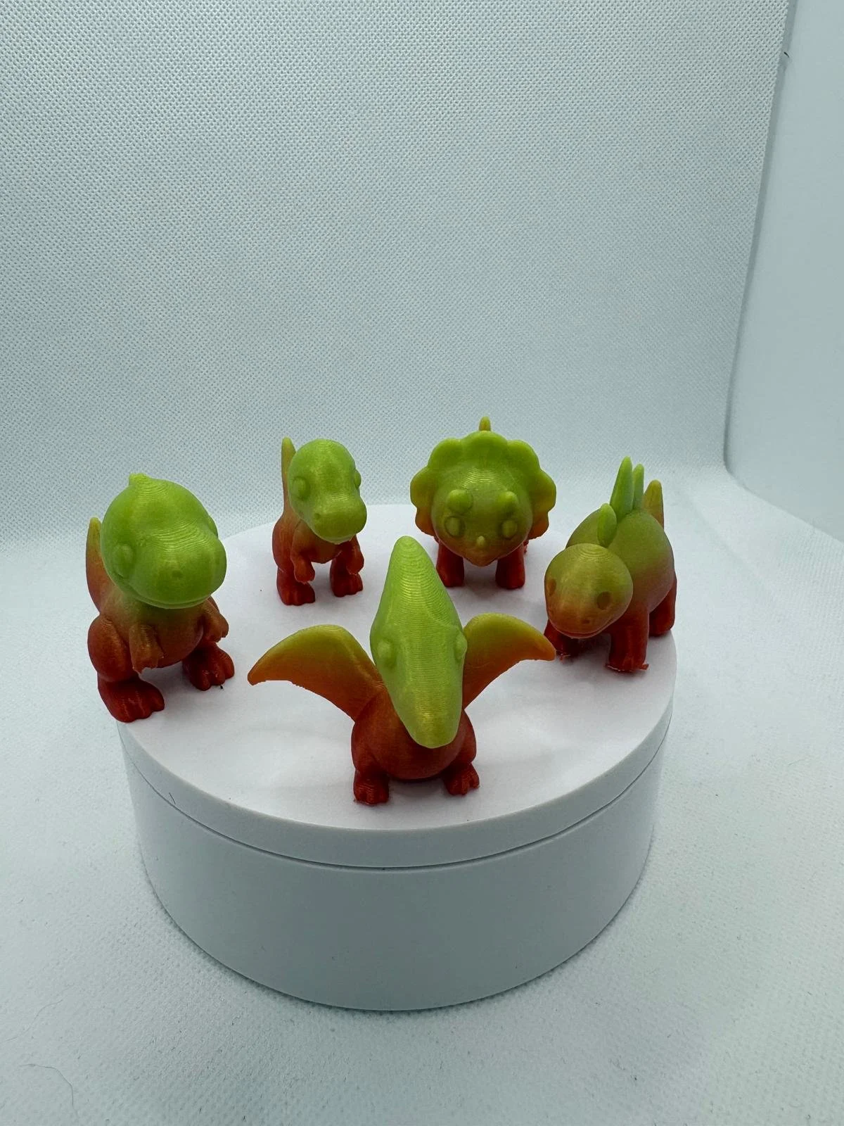 WhatsApp Image 2026-03-06 at 13.15.47.jpeg