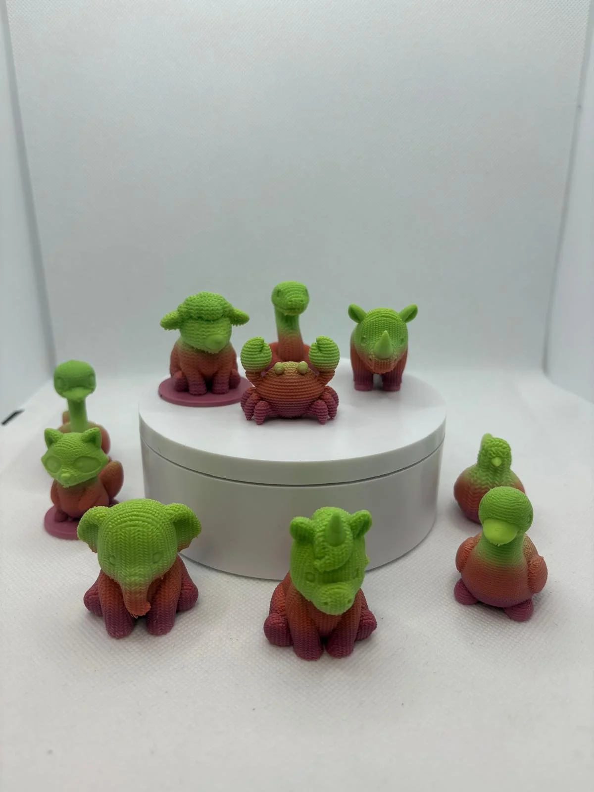 WhatsApp Image 2026-03-06 at 12.30.44.jpeg