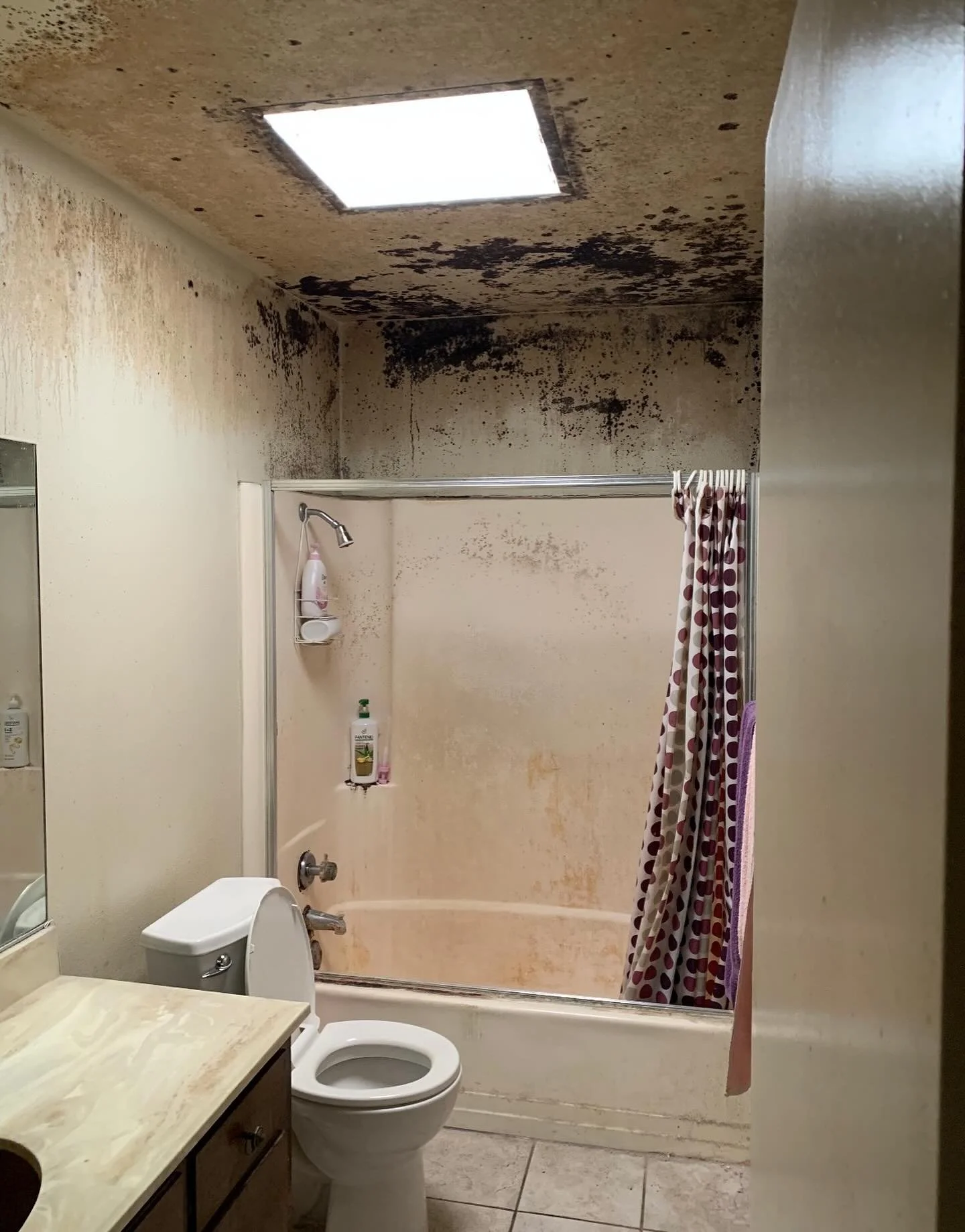 Hiring Enviro-Chem for mold assessments is still very important even when visible mold is obvious. This is because we provide recommendations to the client which helps mitigate potential for unnecessary additional remediation procedures and can poten