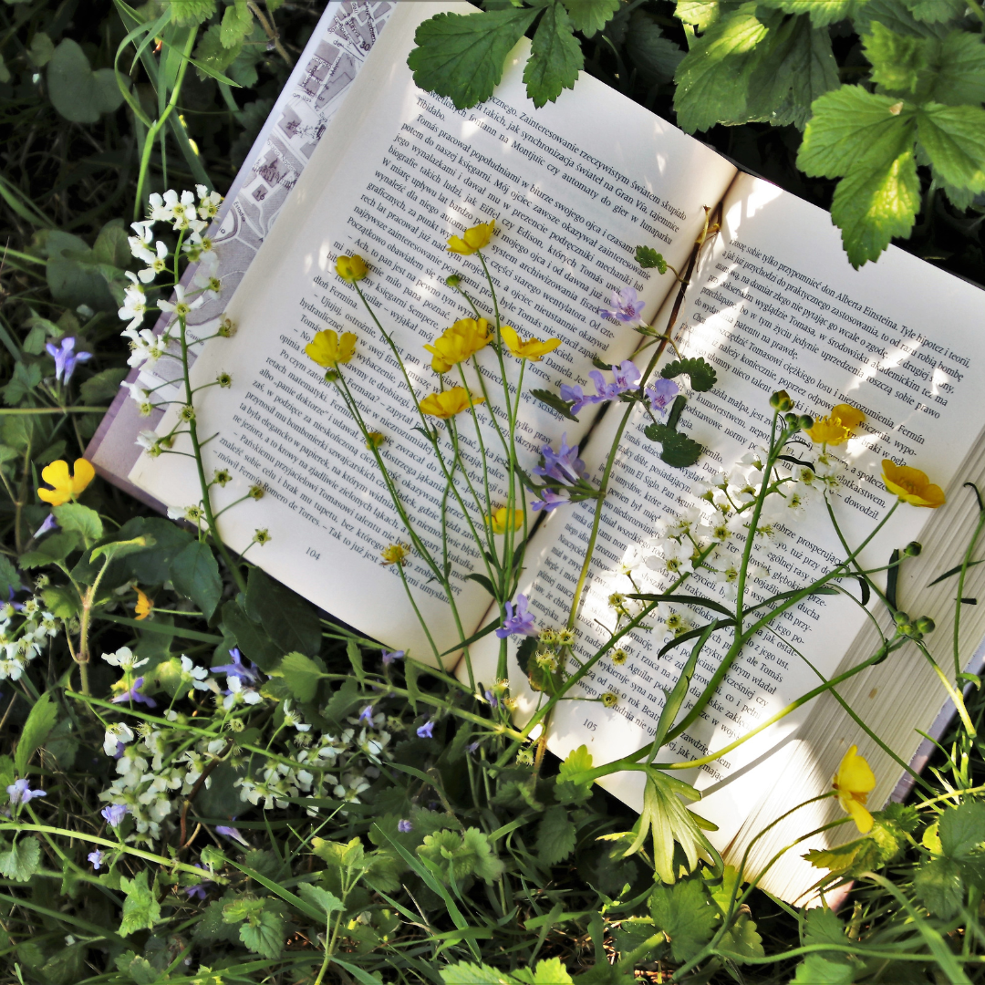Why Choose: A Romance Book Club