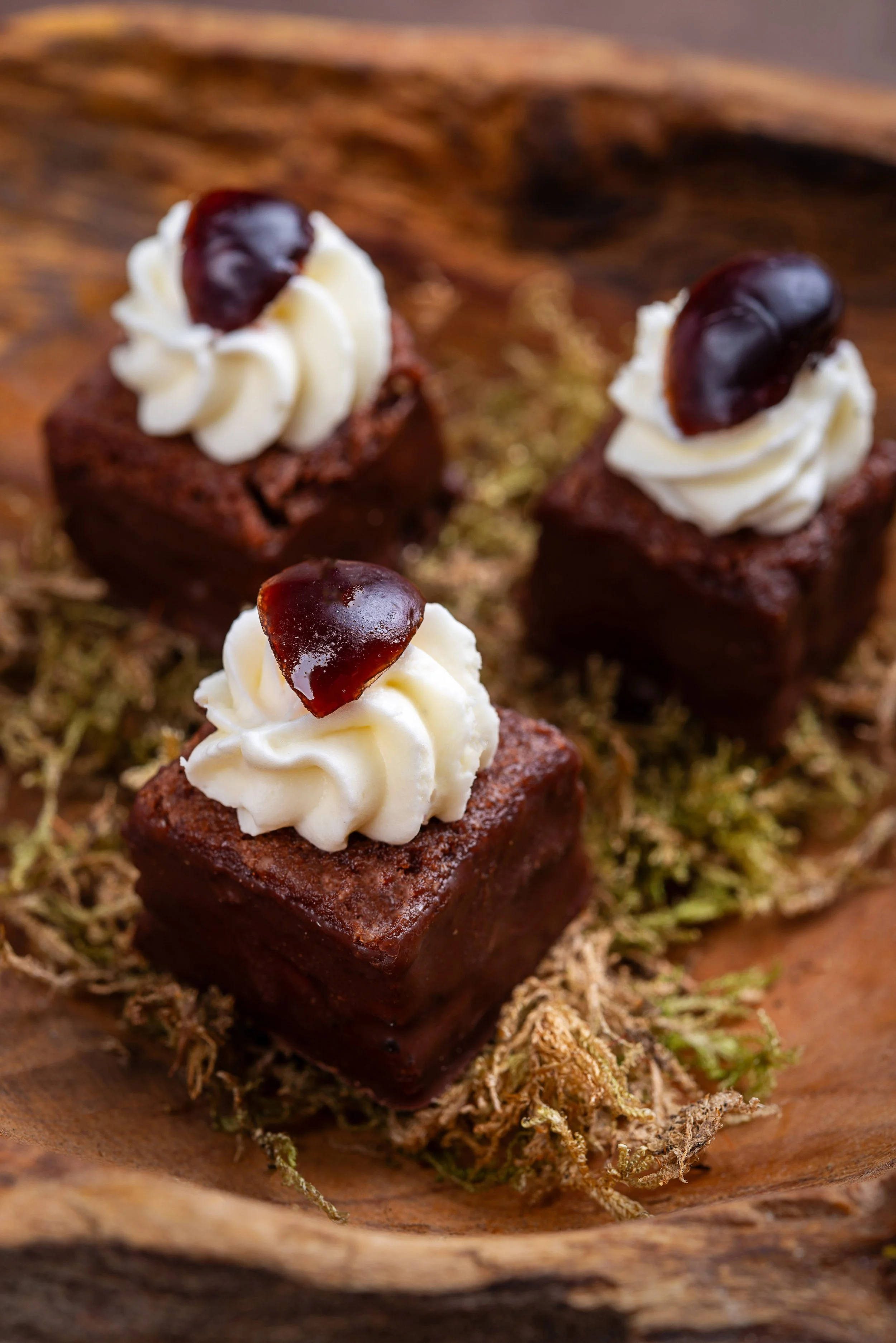 sceno black forest 1.JPG