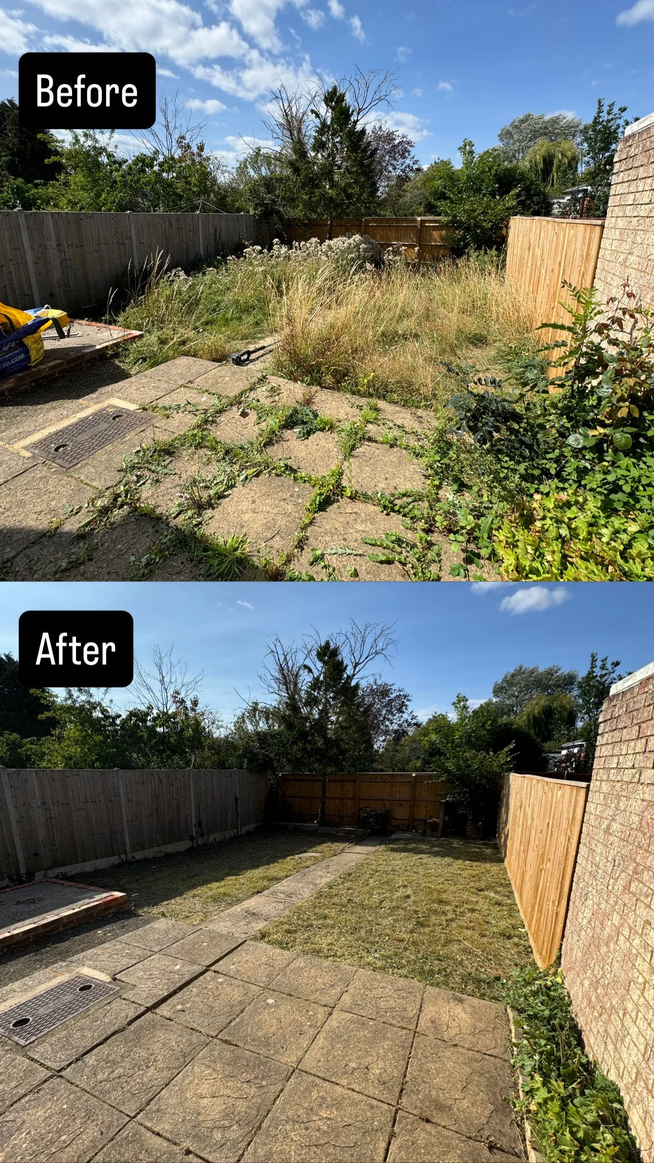Garden Clearance in Aylesbury