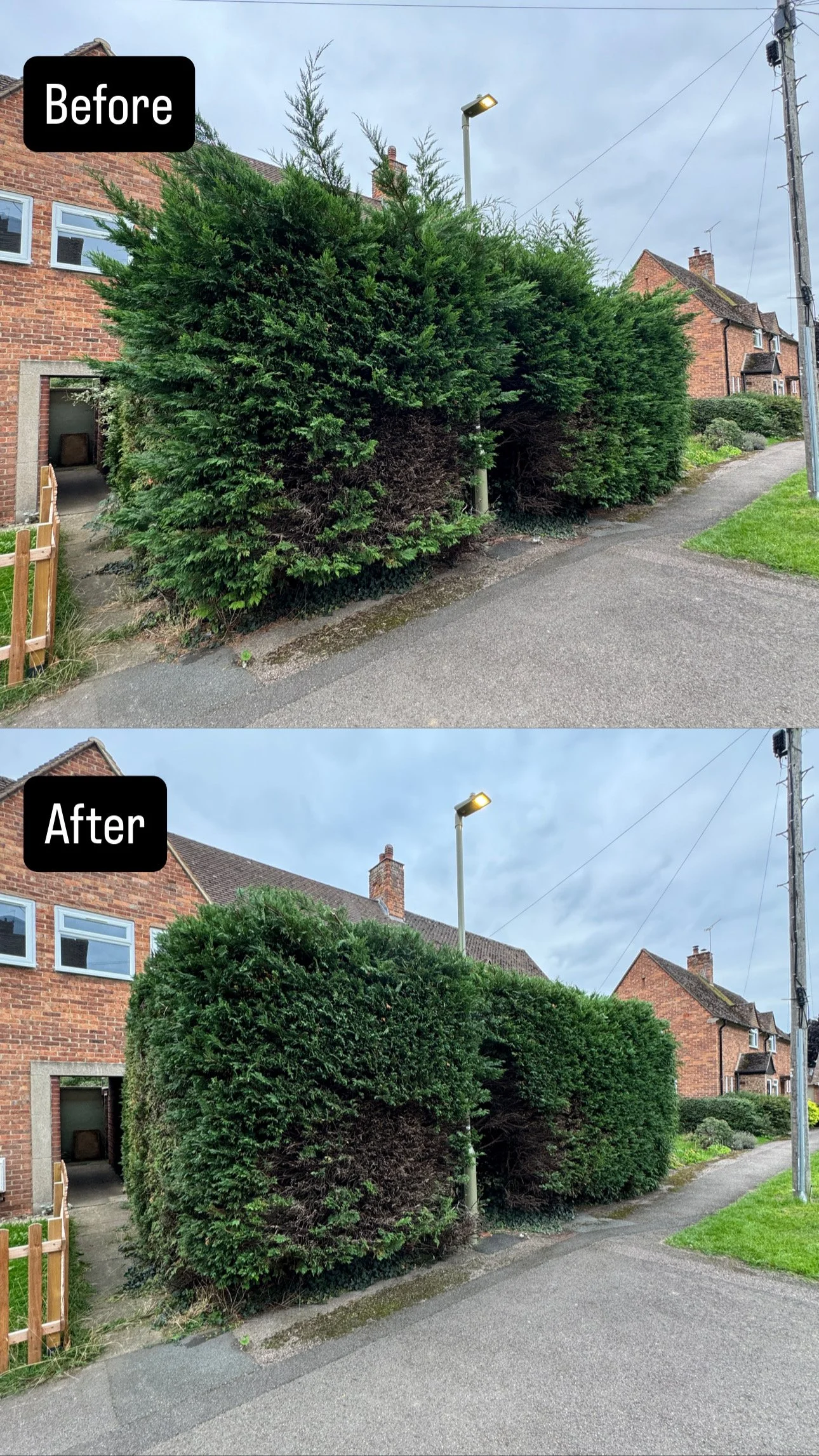 Hedge Trimming in Abingdon