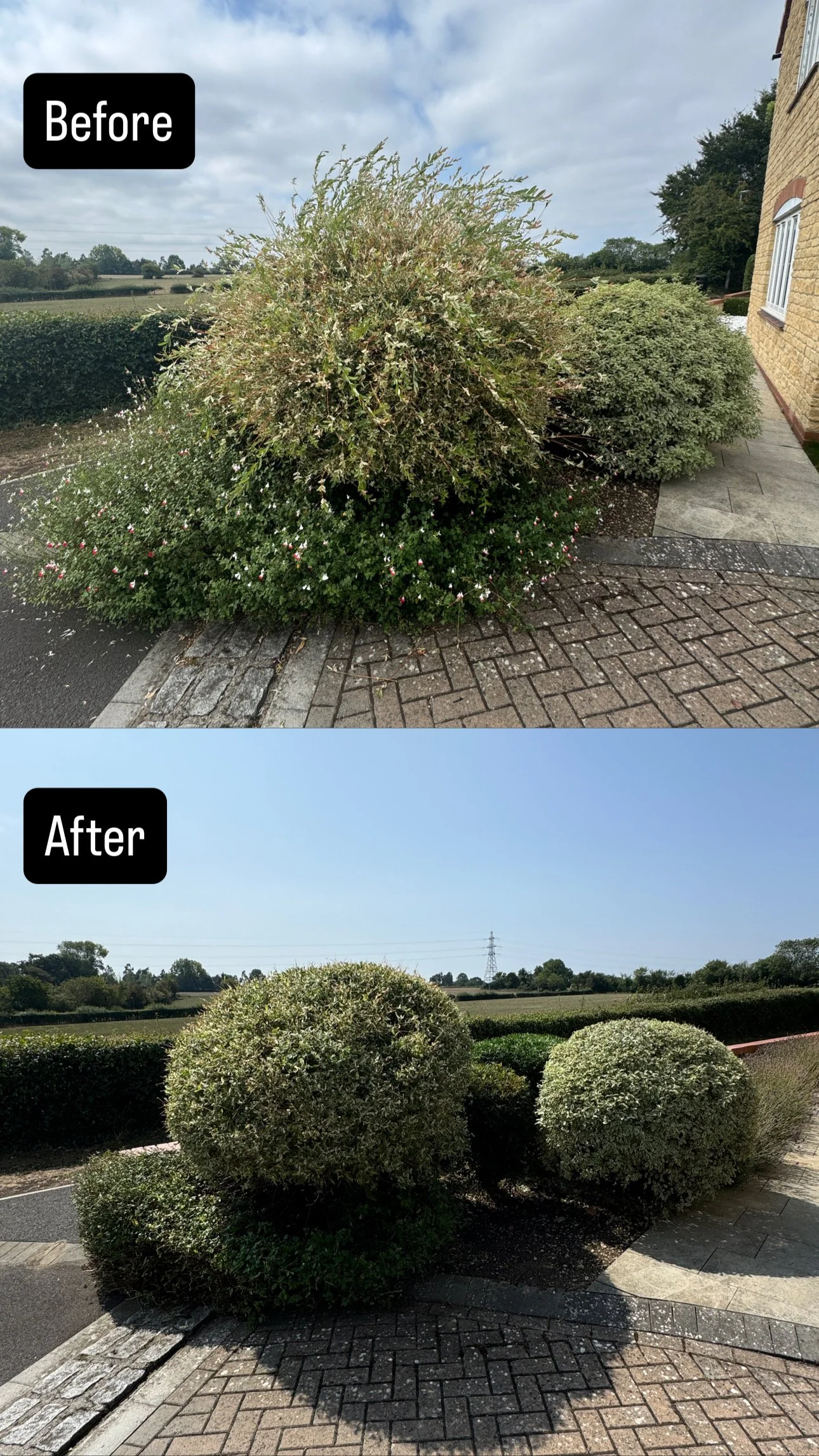 Hedge Trimming in Swindon
