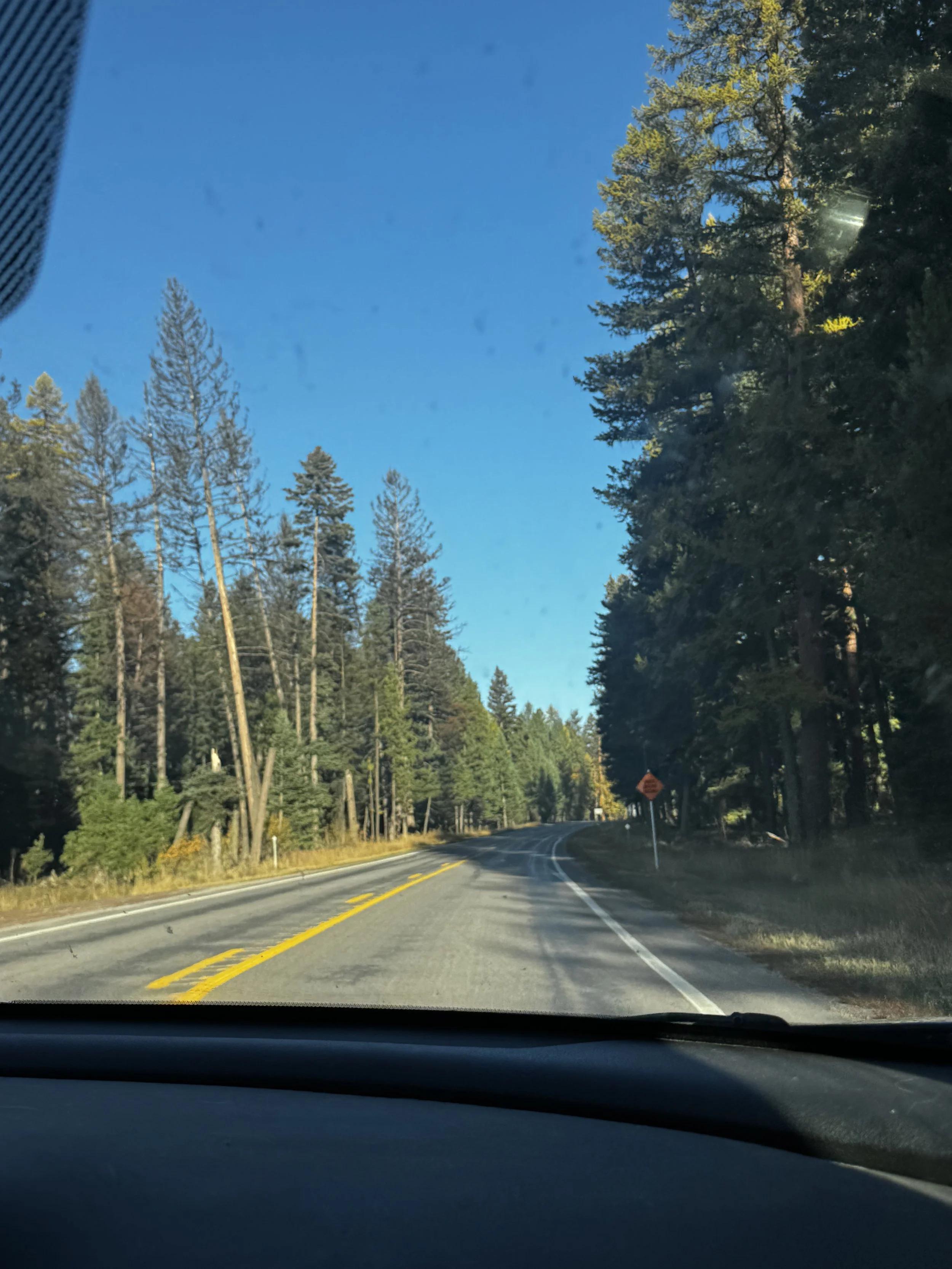 The Road Between