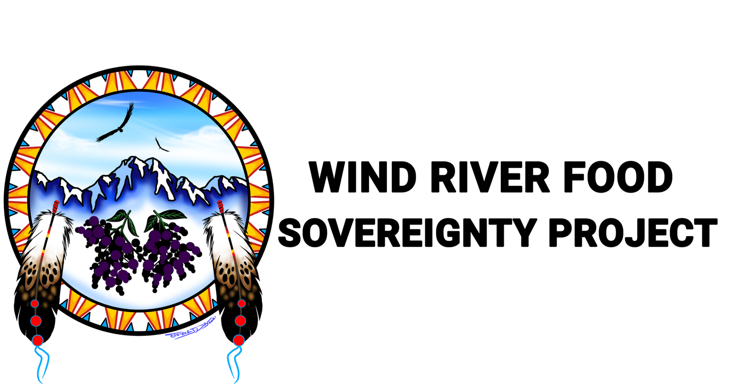 cropped+WIND+RIVER++SOVEREIGNTY+PROJECT_Logo+with+name+copy.webp