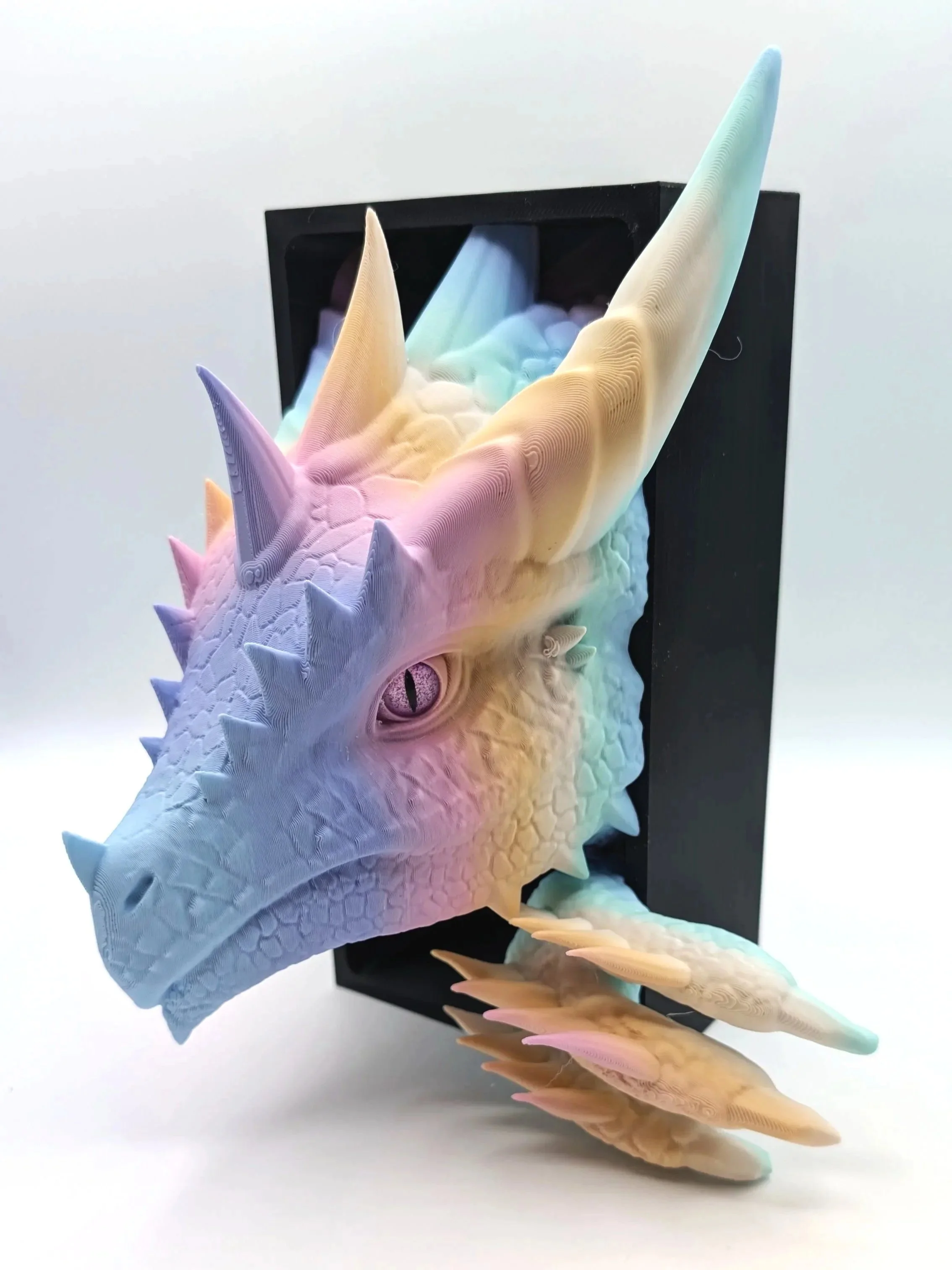 Sun Dragon Emerging Book Nook