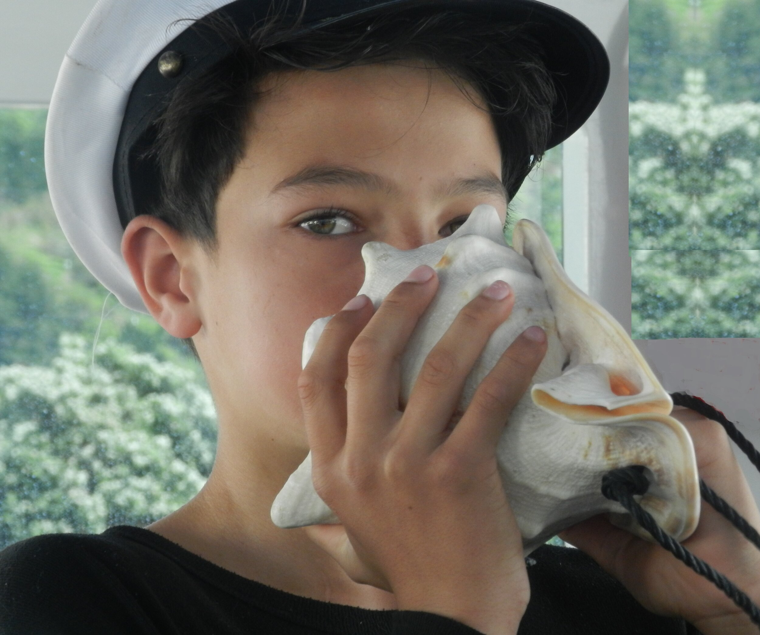 Pumoana calls the dolphins