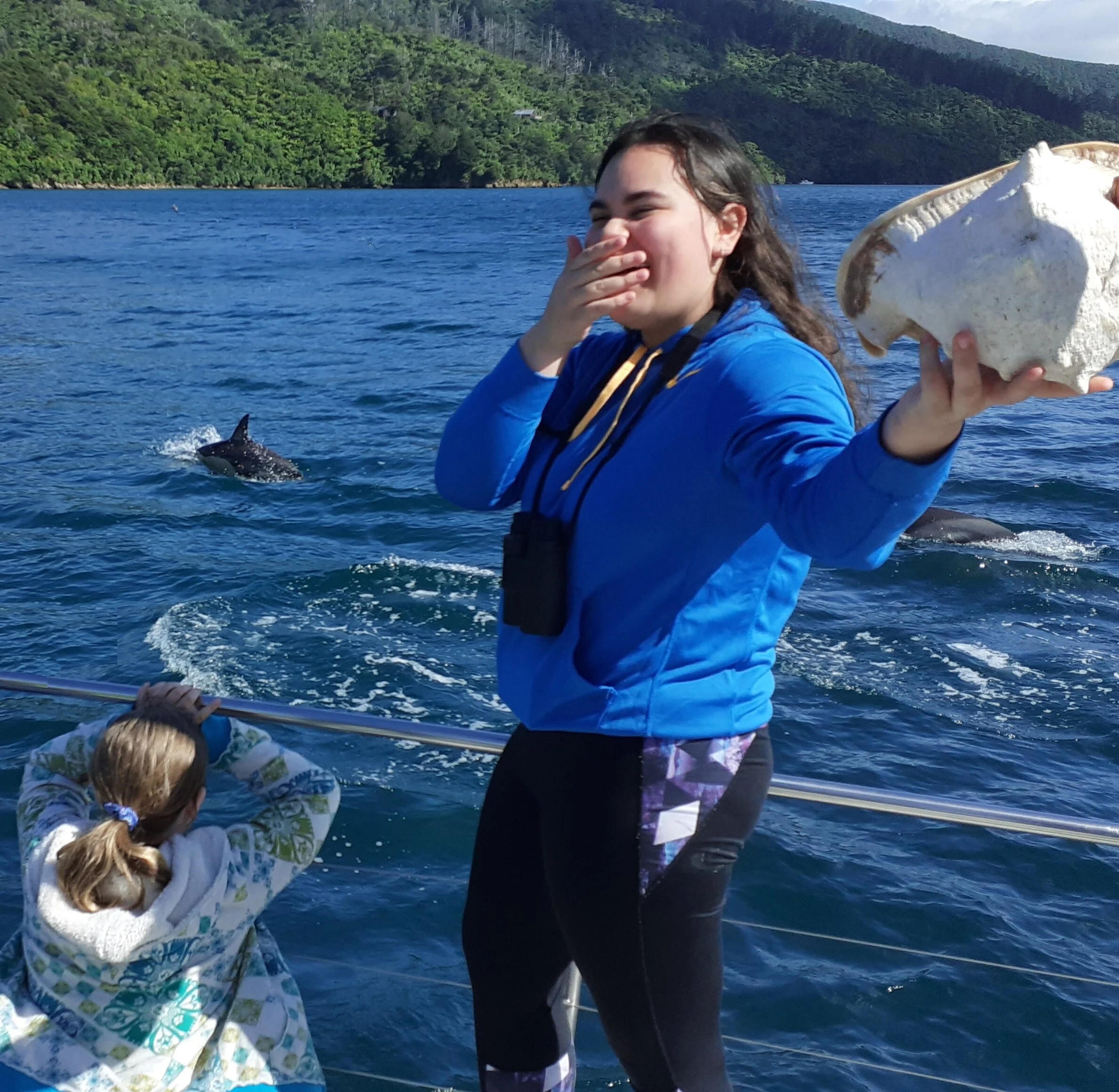 Here the dolphins come