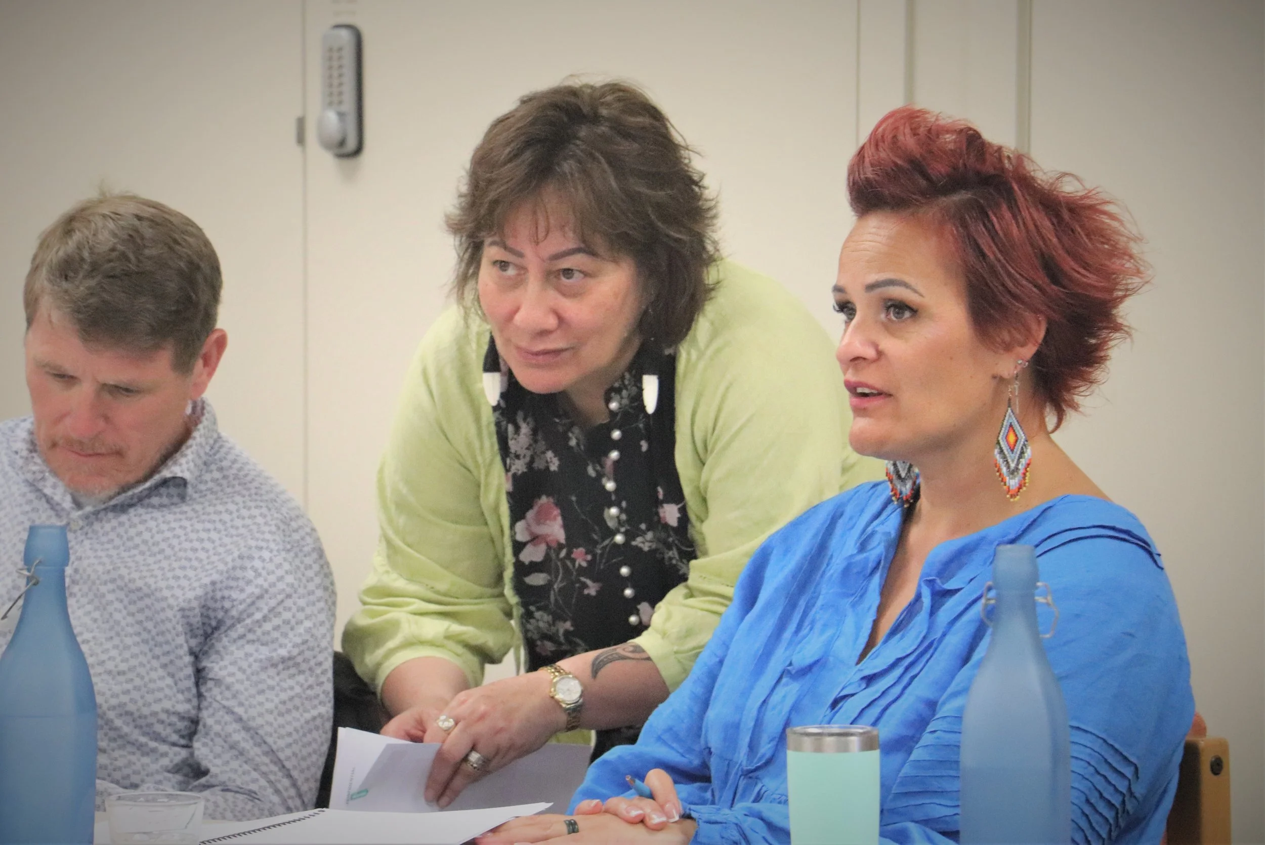 Te Pae Oranga Iwi Community Panels