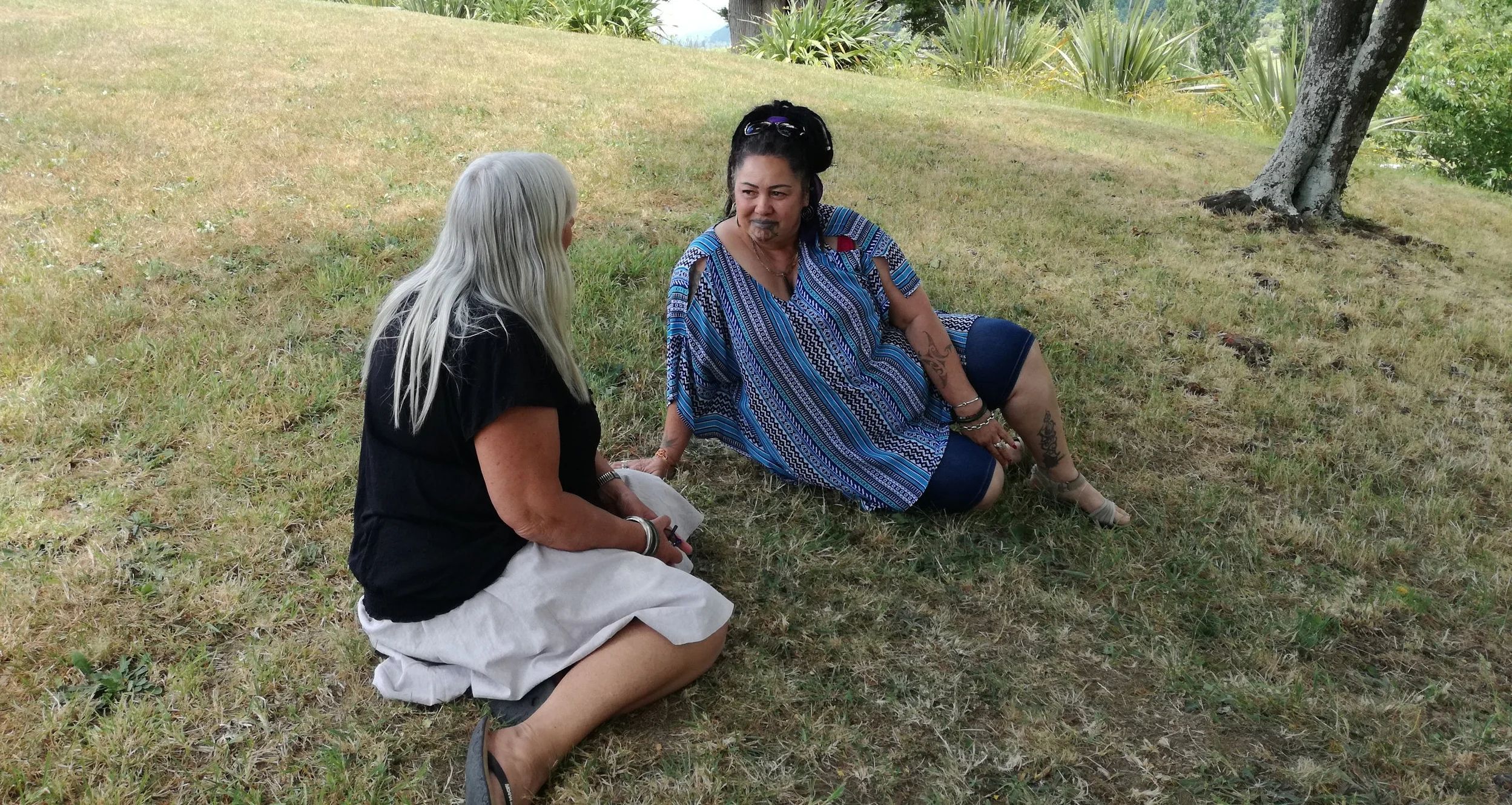 Two women sitting on the grass outdoors, engaging in conversation under a tree with greenery in the background.