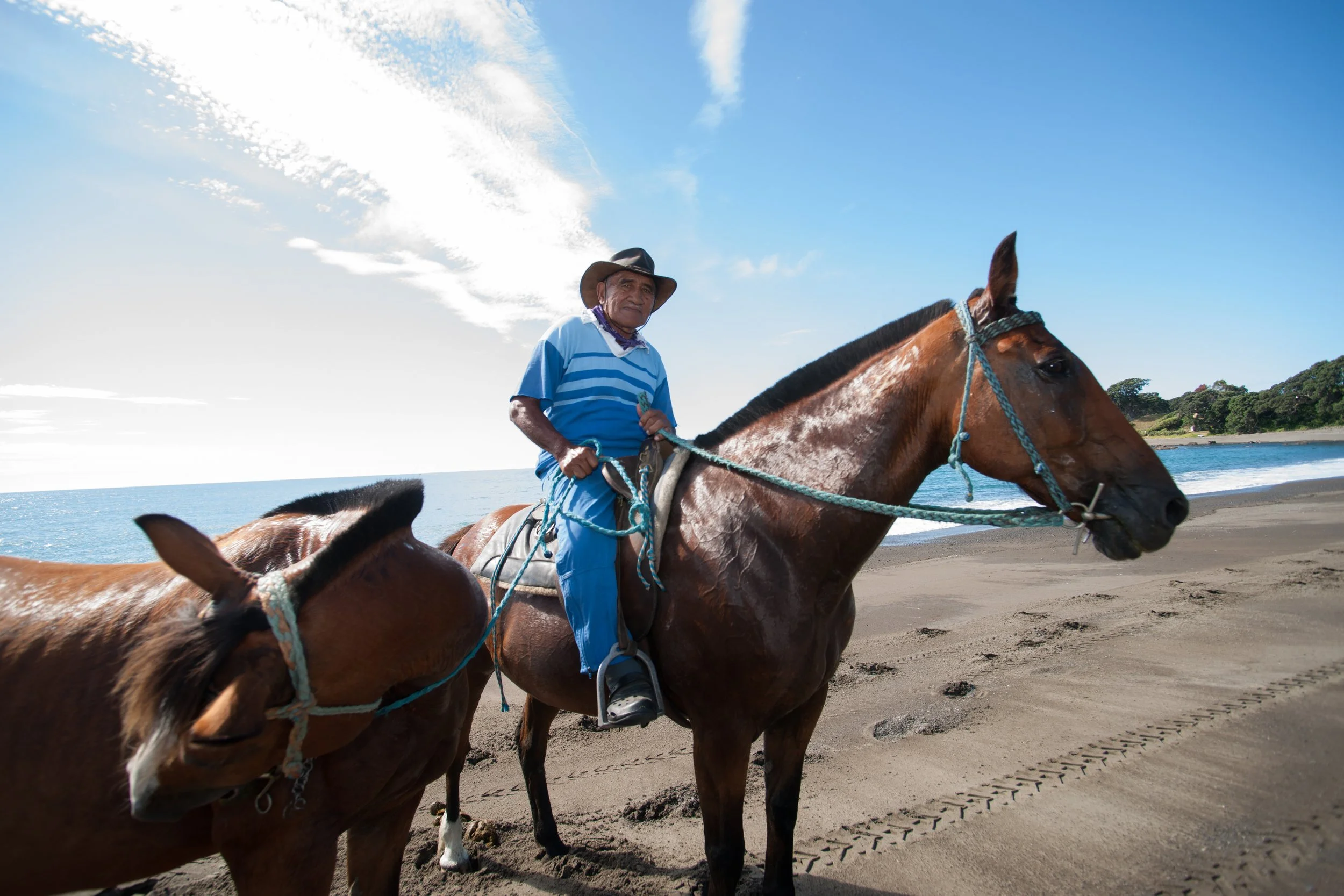 A man riding a horse on the beach with another horse nearby, ocean waves in the background, and a tree-lined shoreline under a clear blue sky.