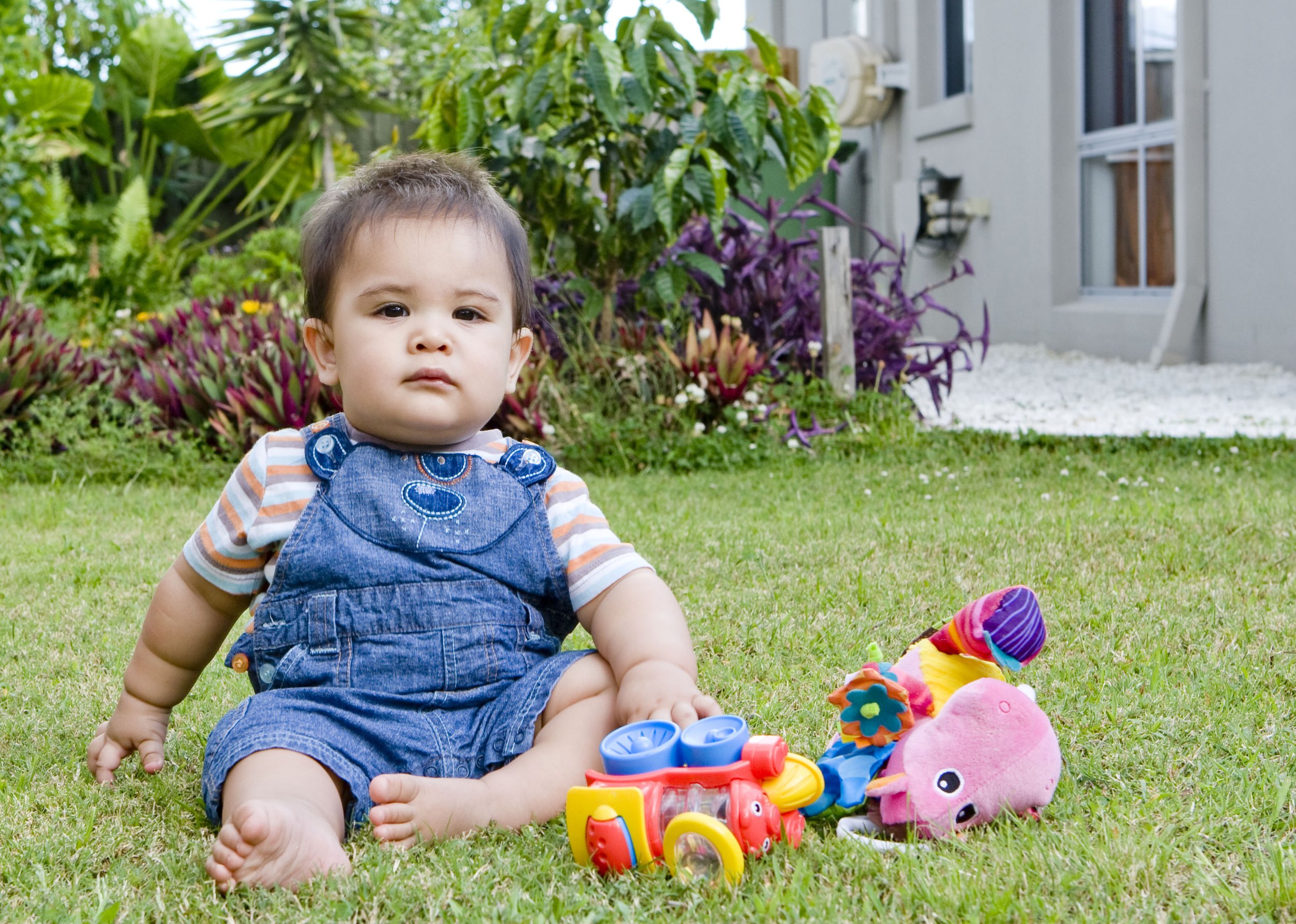 Young child sitting on a grassy yard with toys, wearing striped shirt and denim overalls, with plants and house in background.