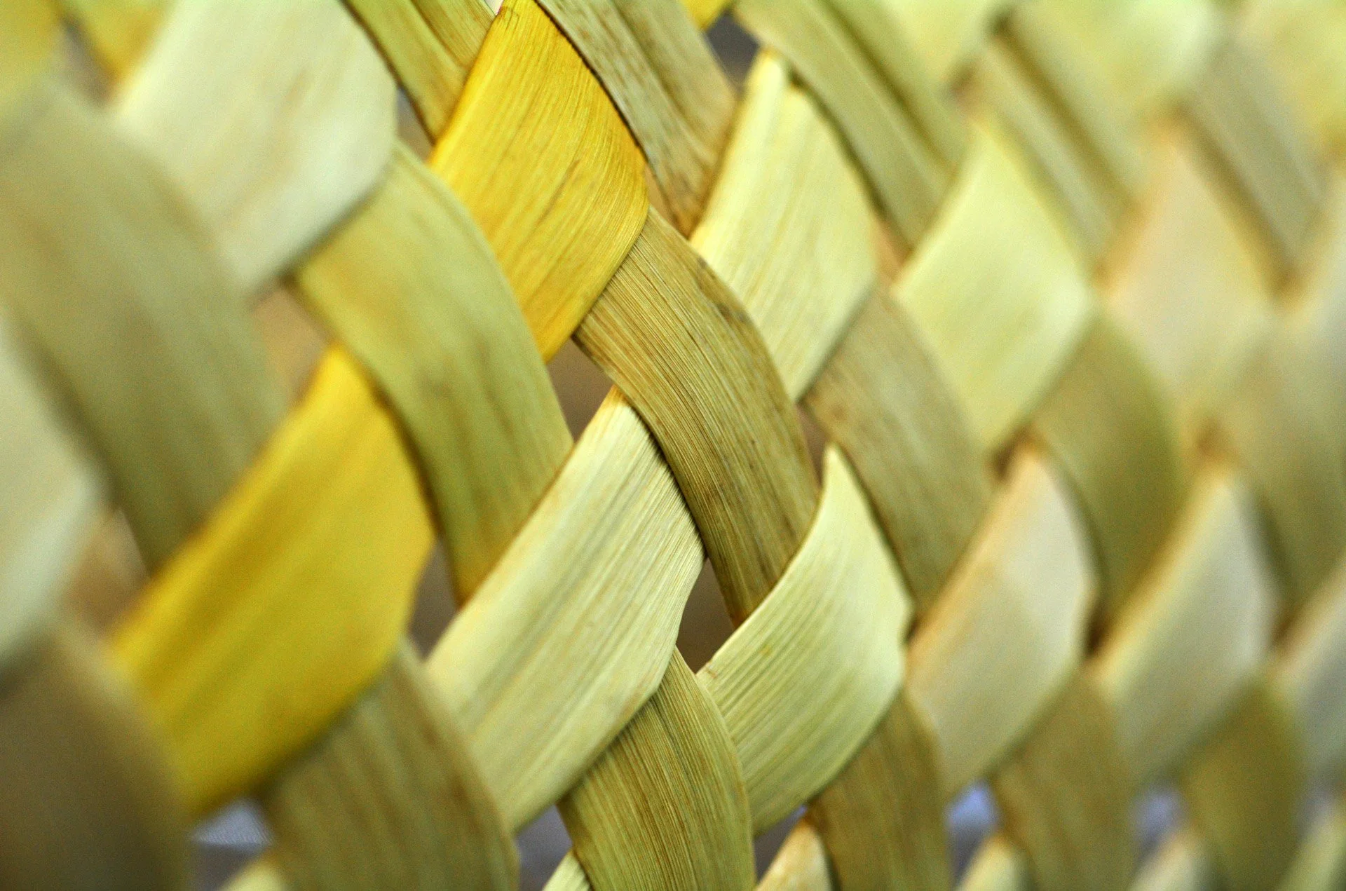 Close-up of woven yellowish-green plant strips forming a basket pattern.