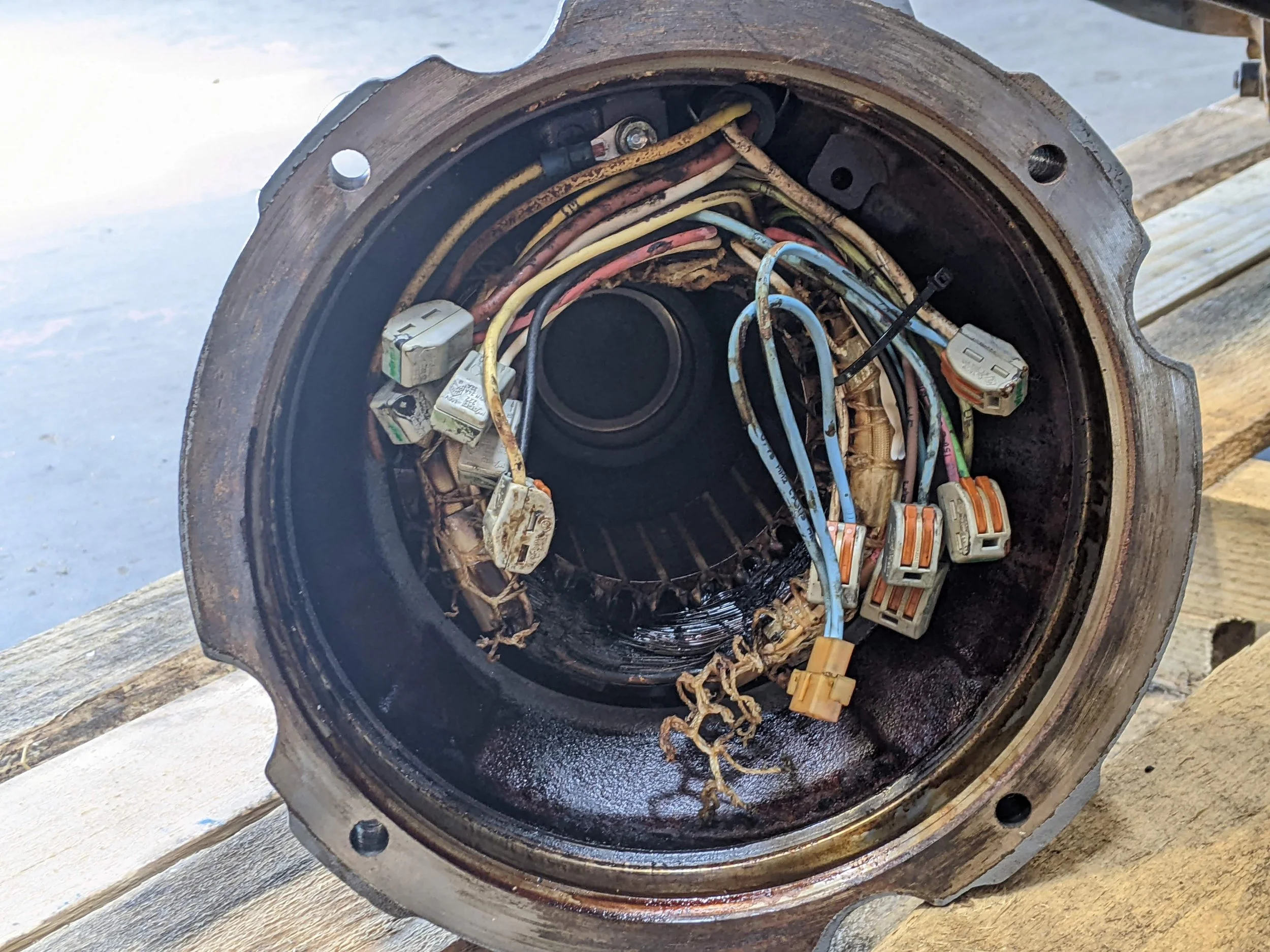 Getting Into the Guts