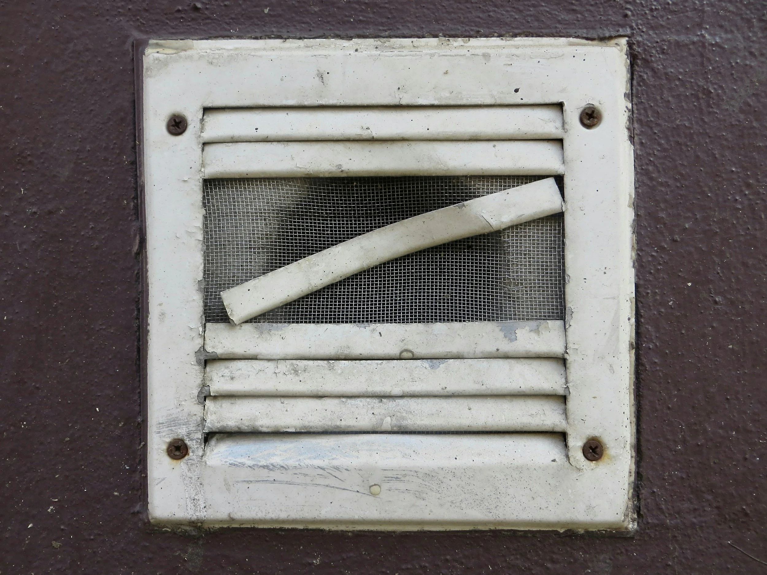When Venting Becomes the Point