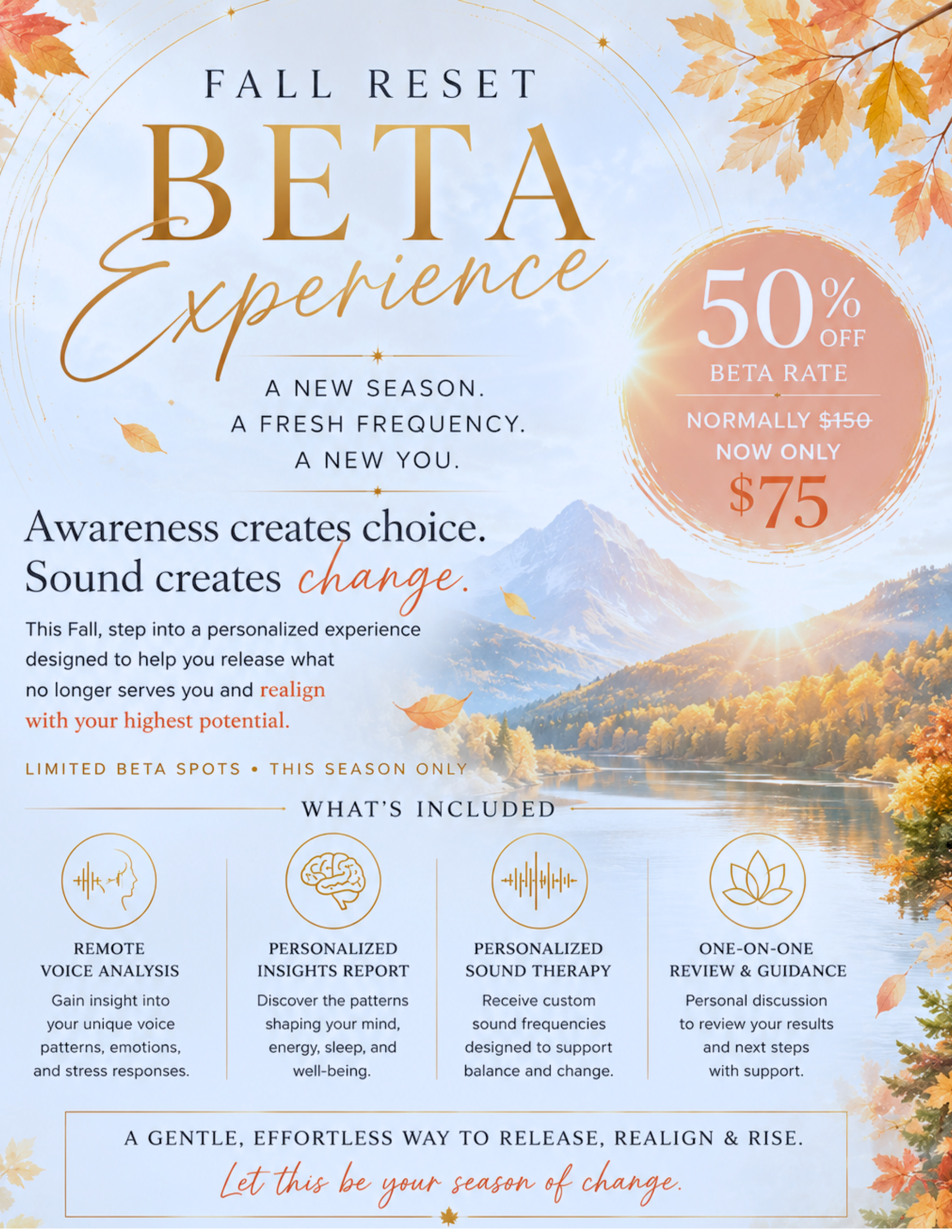FALL RESET — BETA EXPERIENCE