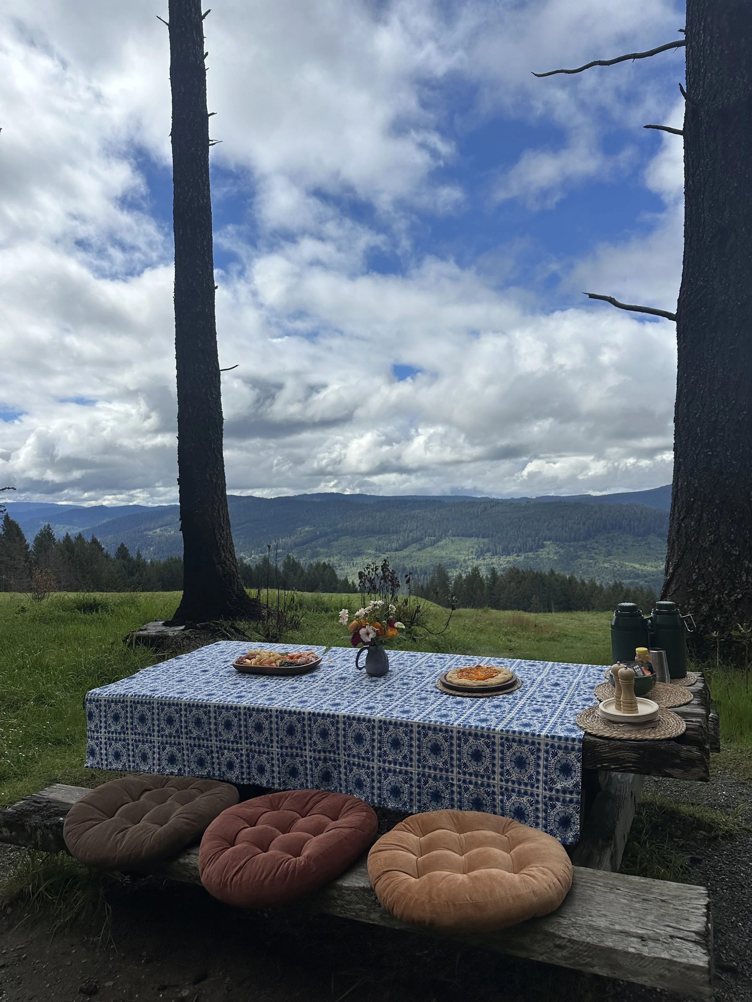 picnic2.jpg