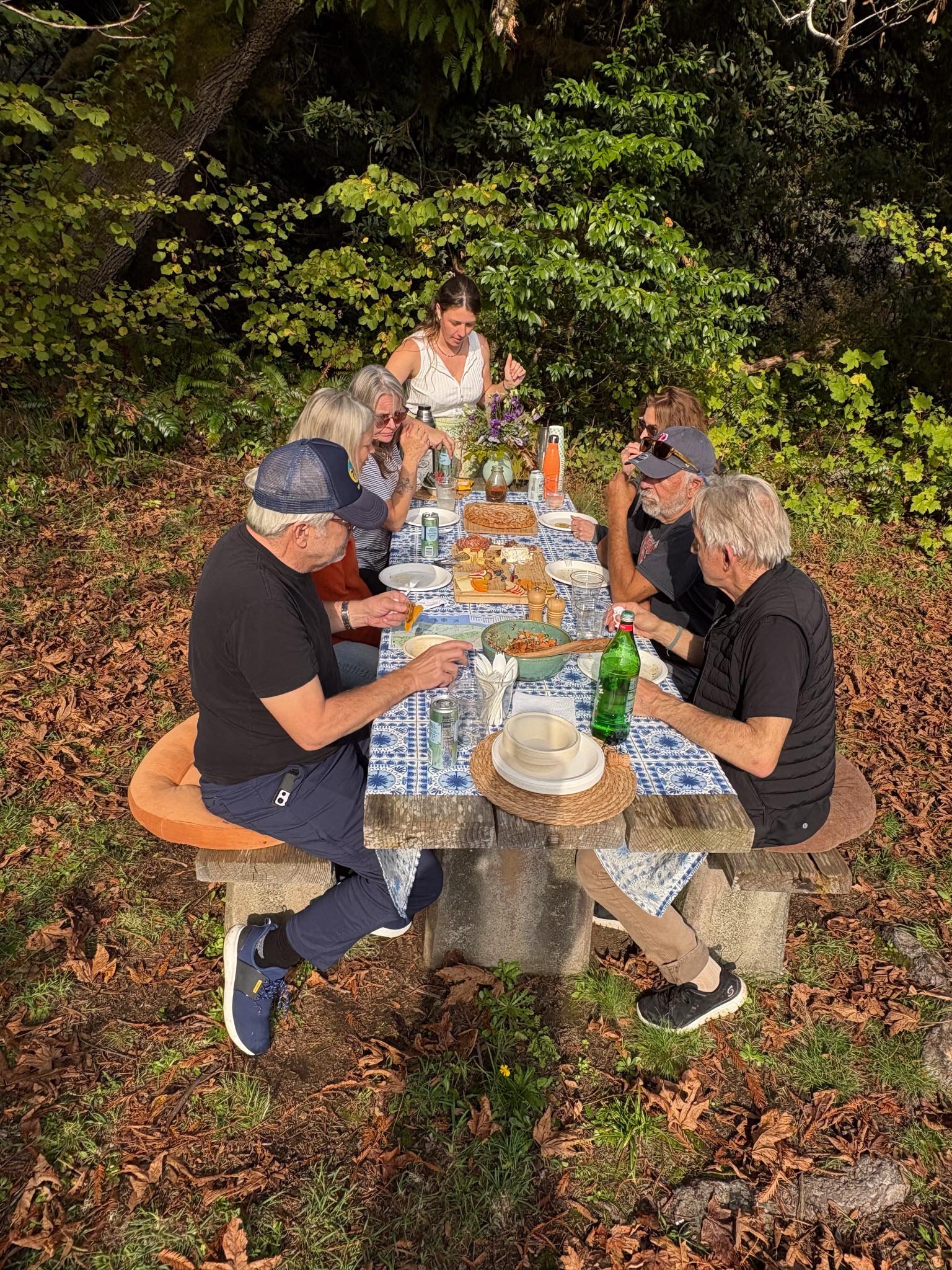 picnicinpark1-1.jpg