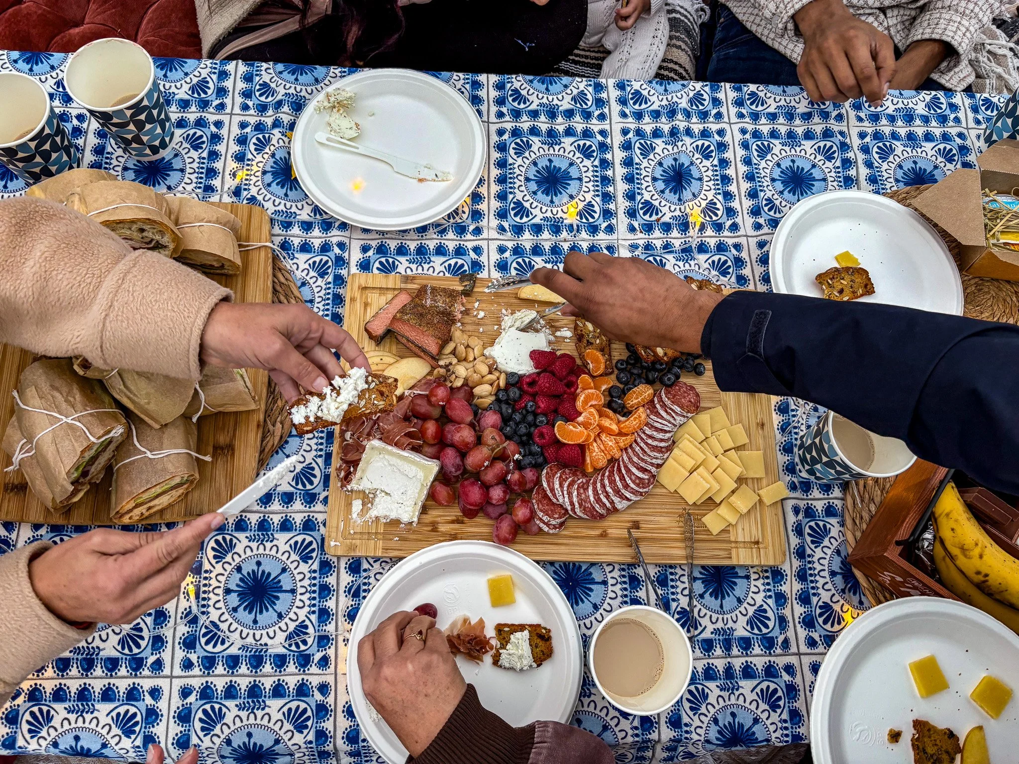 thomsonpicnic-2.jpg