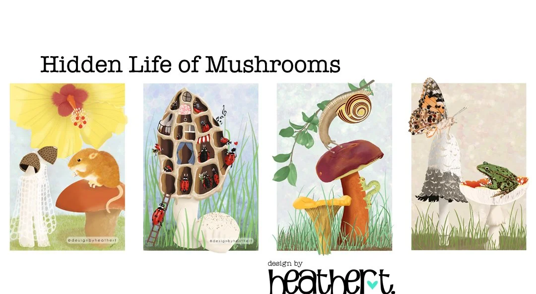 4 mushroom and animal illustrations with occasional other elements such as foliage or insects.
