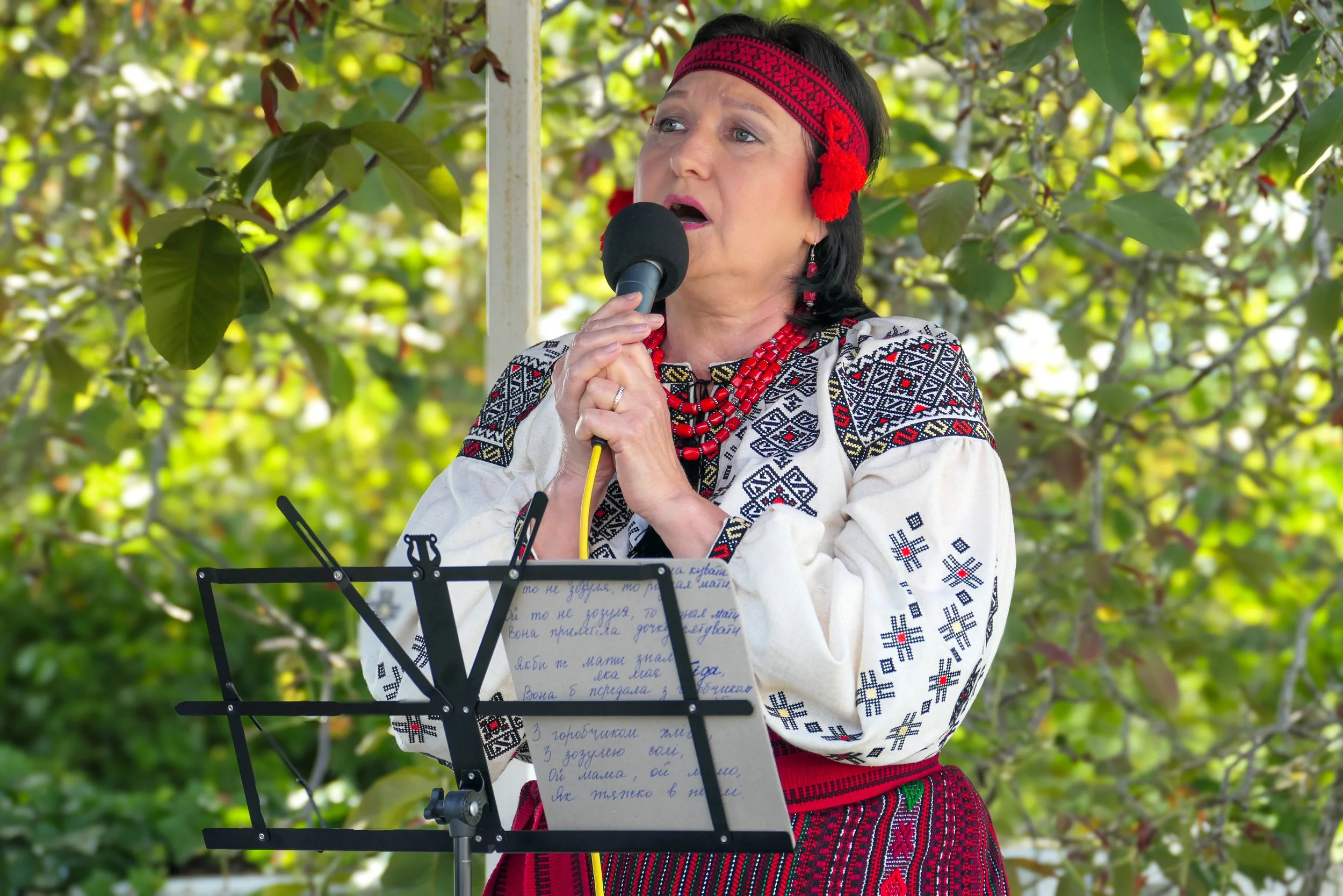 P1537094.jpg