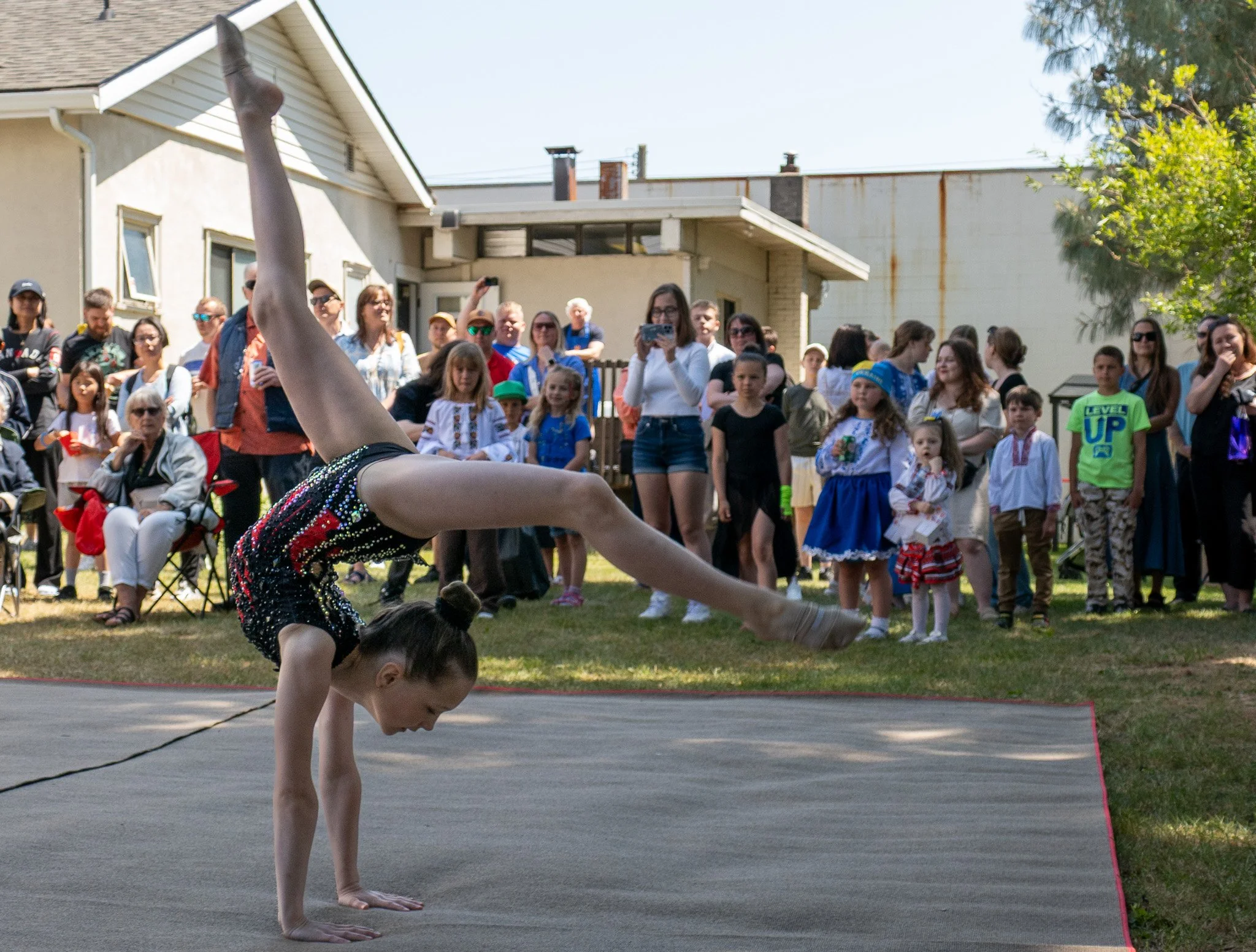 P1525521.jpg