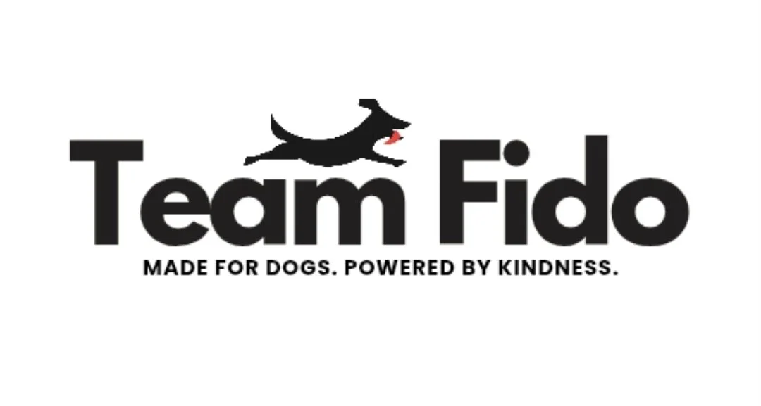 TEAM FIDO